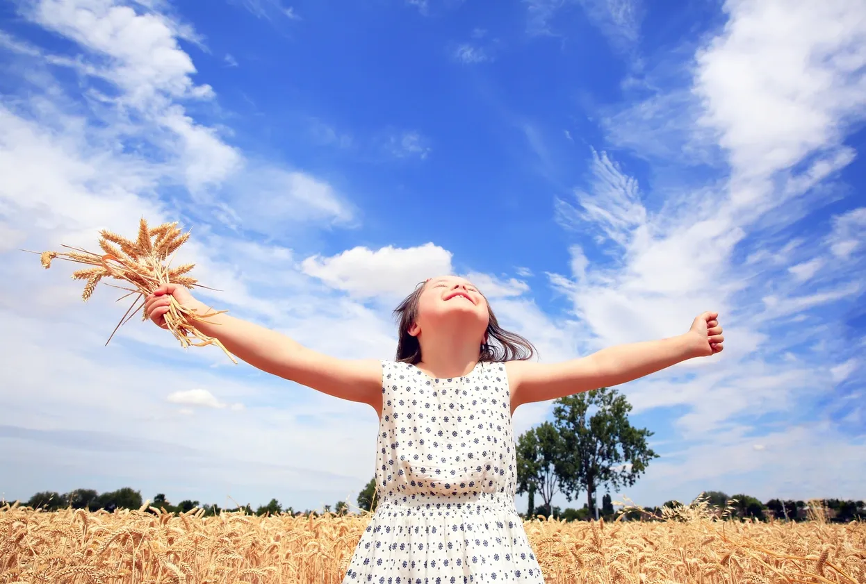 Sit in your Harvest