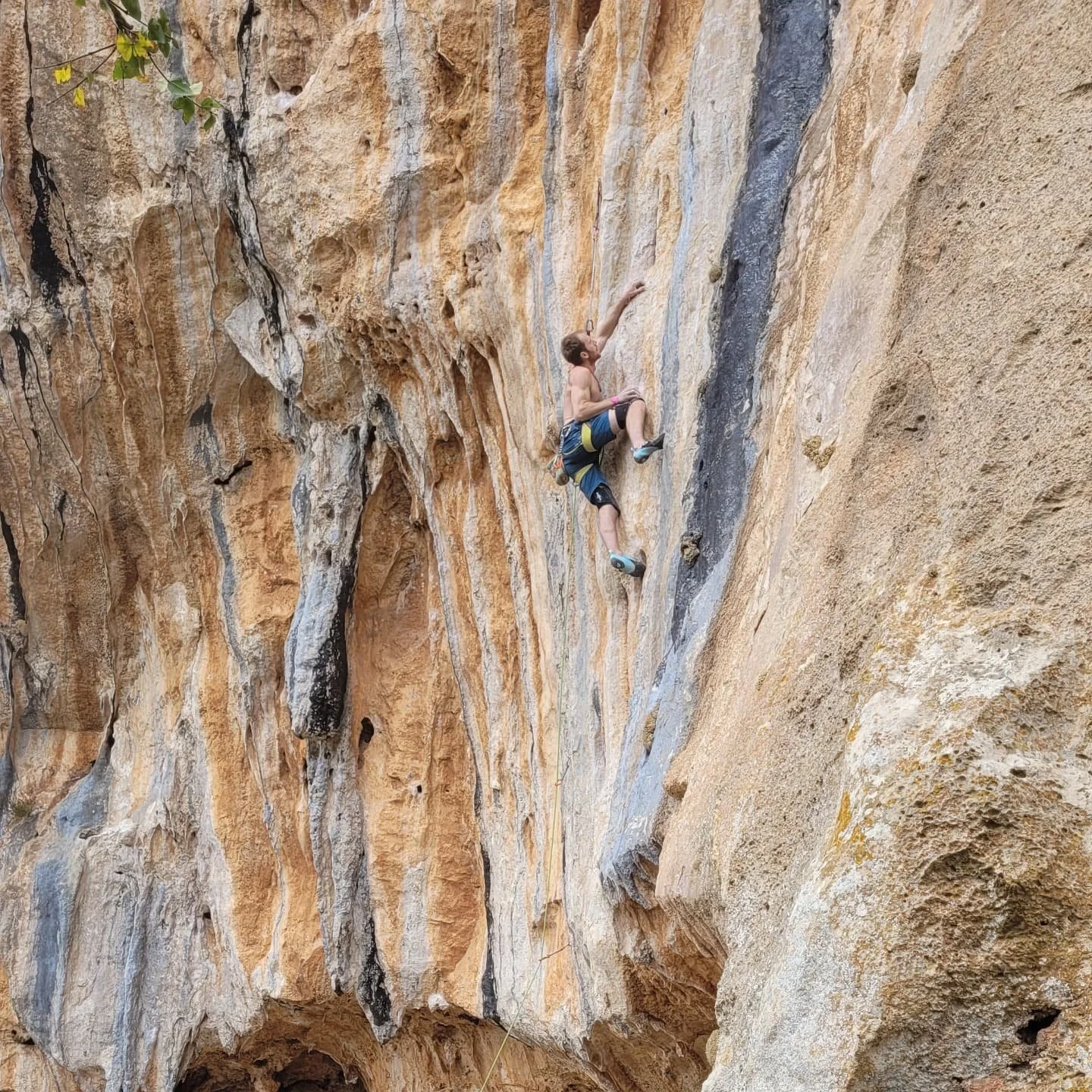 Fun as the tufa's in Leonidio 🦥
Stunning like the Kalogria's view🦩
Wild like Alepochori walls🏔
Pure as the Kalymnian line's🌟

⚡️⚡️To experiment greek climbing is such a unique experience !⚡️⚡️
🌈To create unforgetable moments, let me show you how