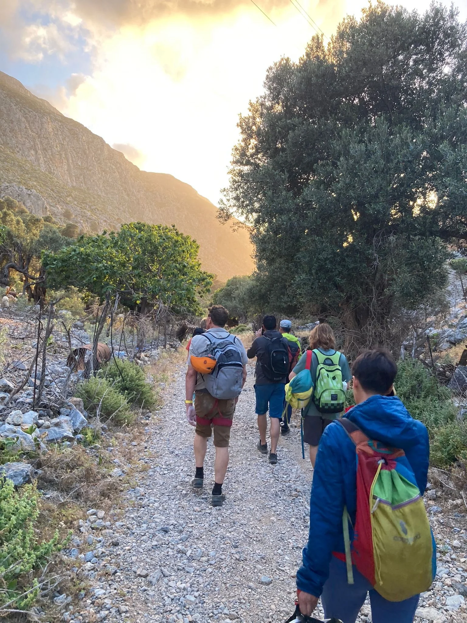Groupe de cinq personnes faisant de la randonnée sur un sentier en montagne avec des arbres et des rochers au coucher du soleil.