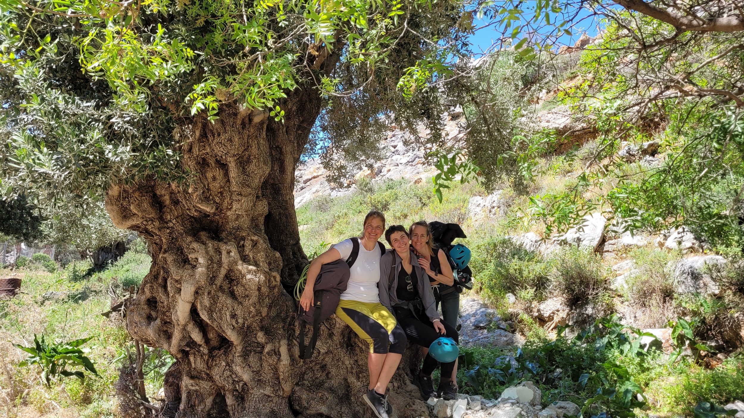 Trois femmes souriantes posent sur un arbre dans un paysage ensoleillé, entourées de végétation et de rochers, lors d'une randonnée.