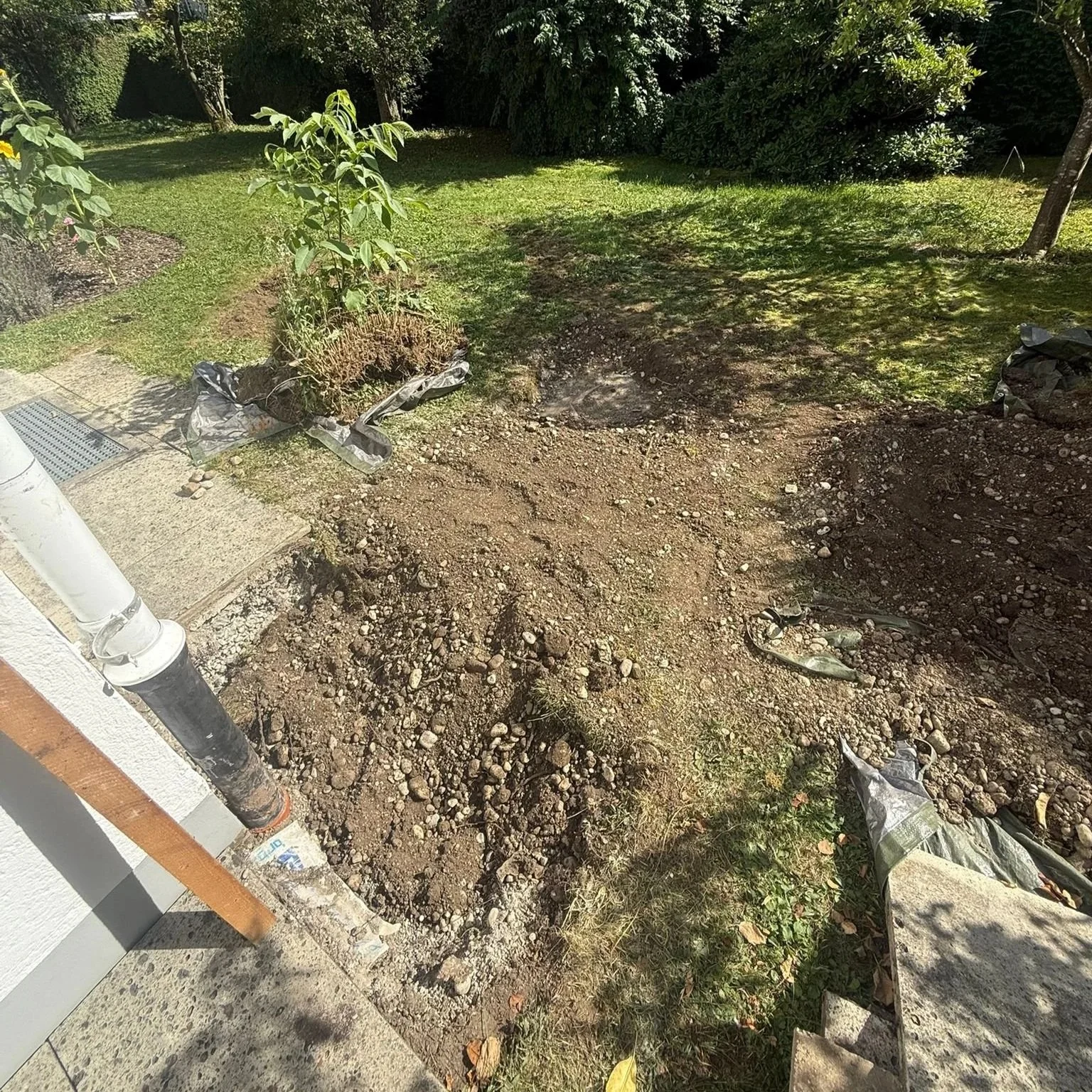 Garten mit aufgebrochenem Boden, Bäumen, Sträuchern und Gartenabfällen wie Plastiktüten und Steinen.