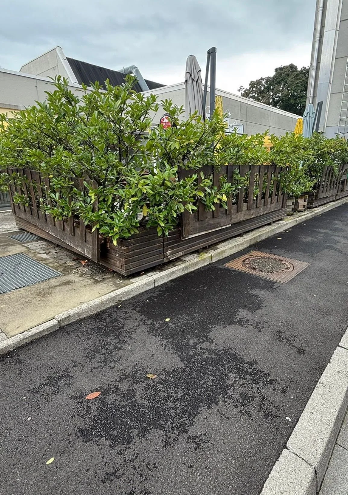 WhatsApp Image 2026-03-15 at 14.24.45.jpeg