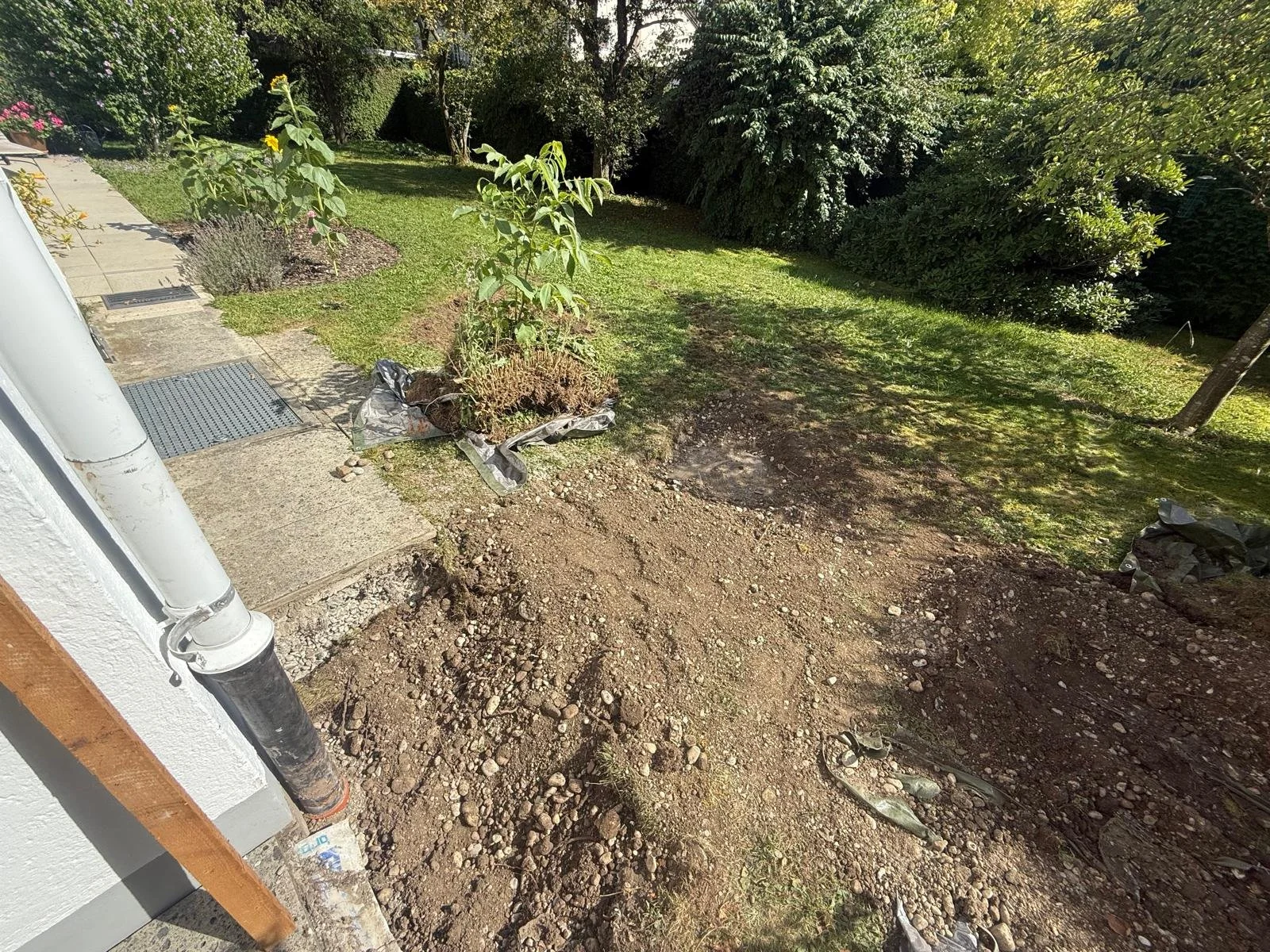 WhatsApp Image 2026-02-18 at 10.38.53 (2).jpeg