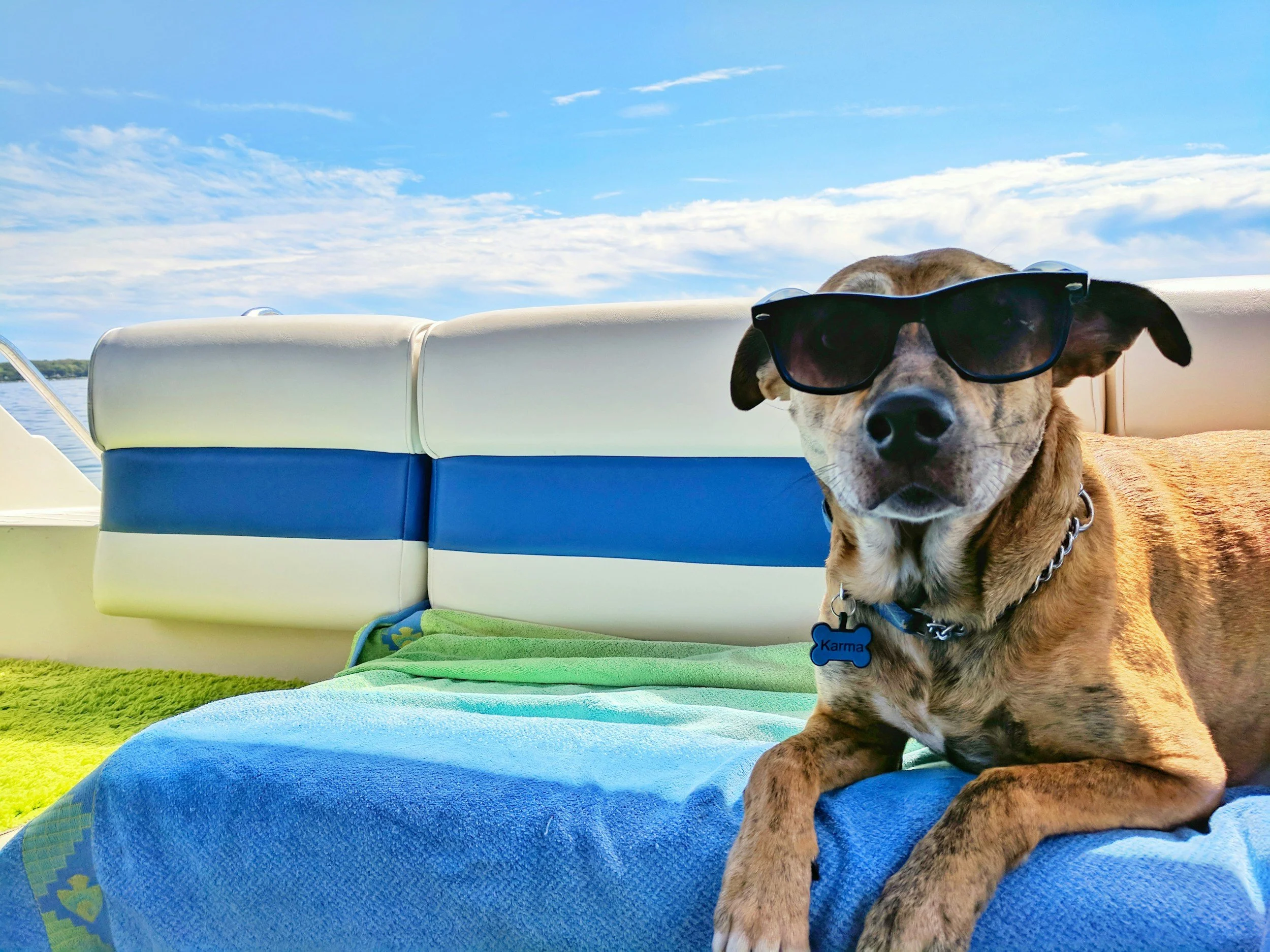 Reisen mit Hund: die wichtigste Checkliste vor den Sommerferien