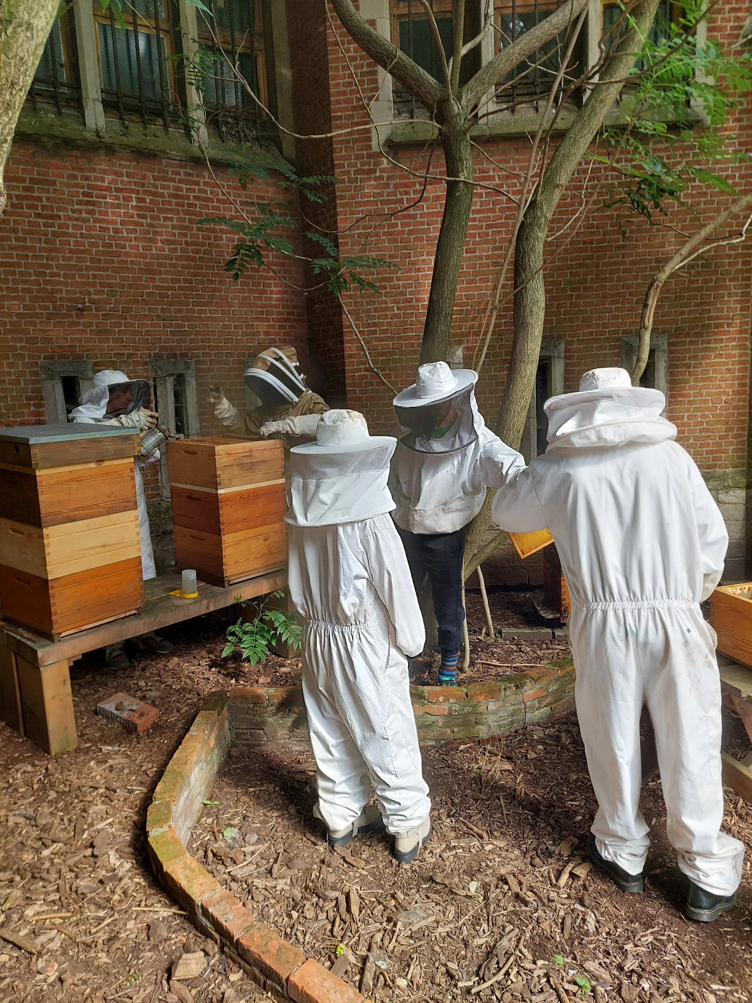 Buurthoning 2060 website online!