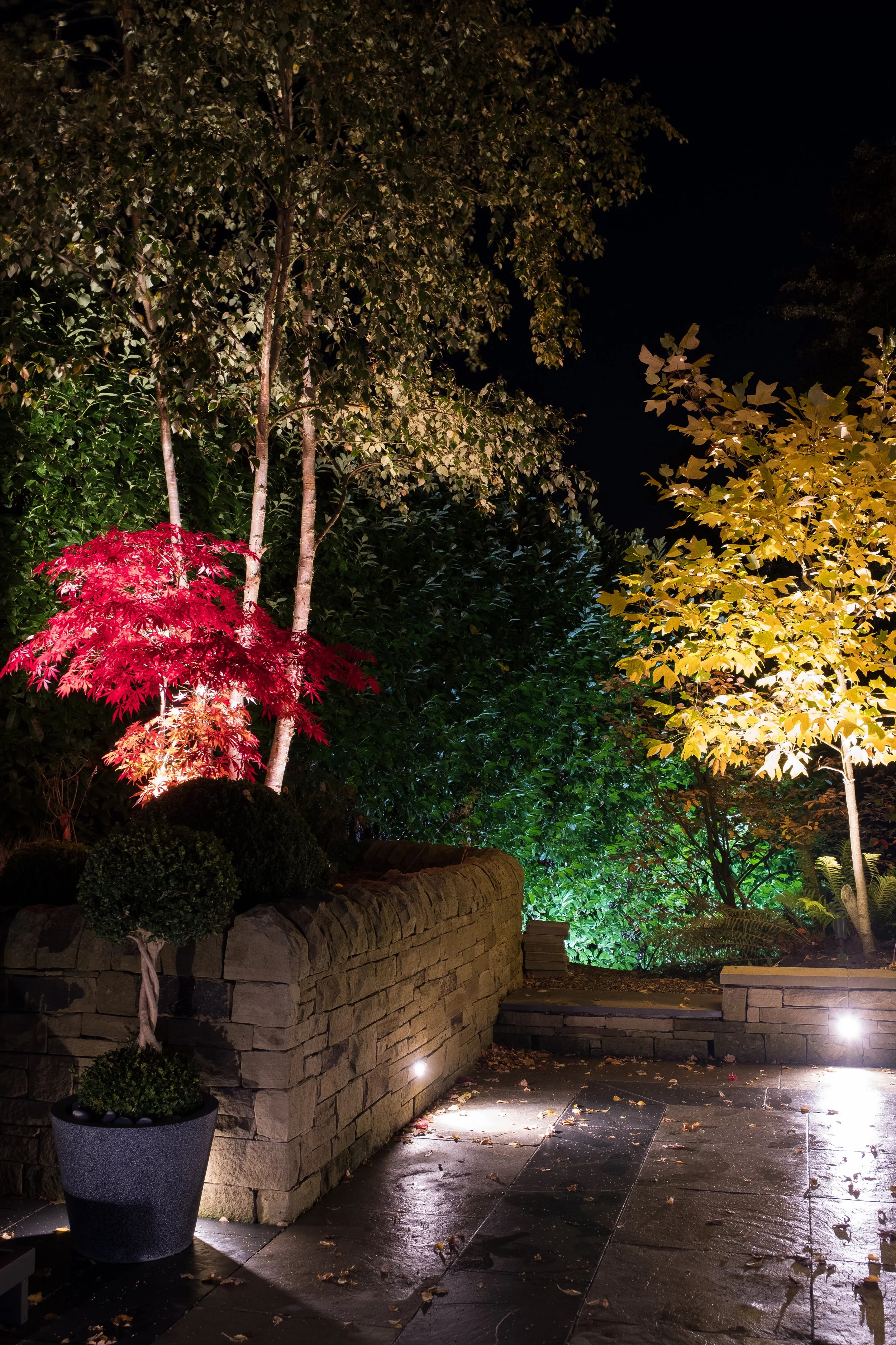 An image of the Cultural Center.