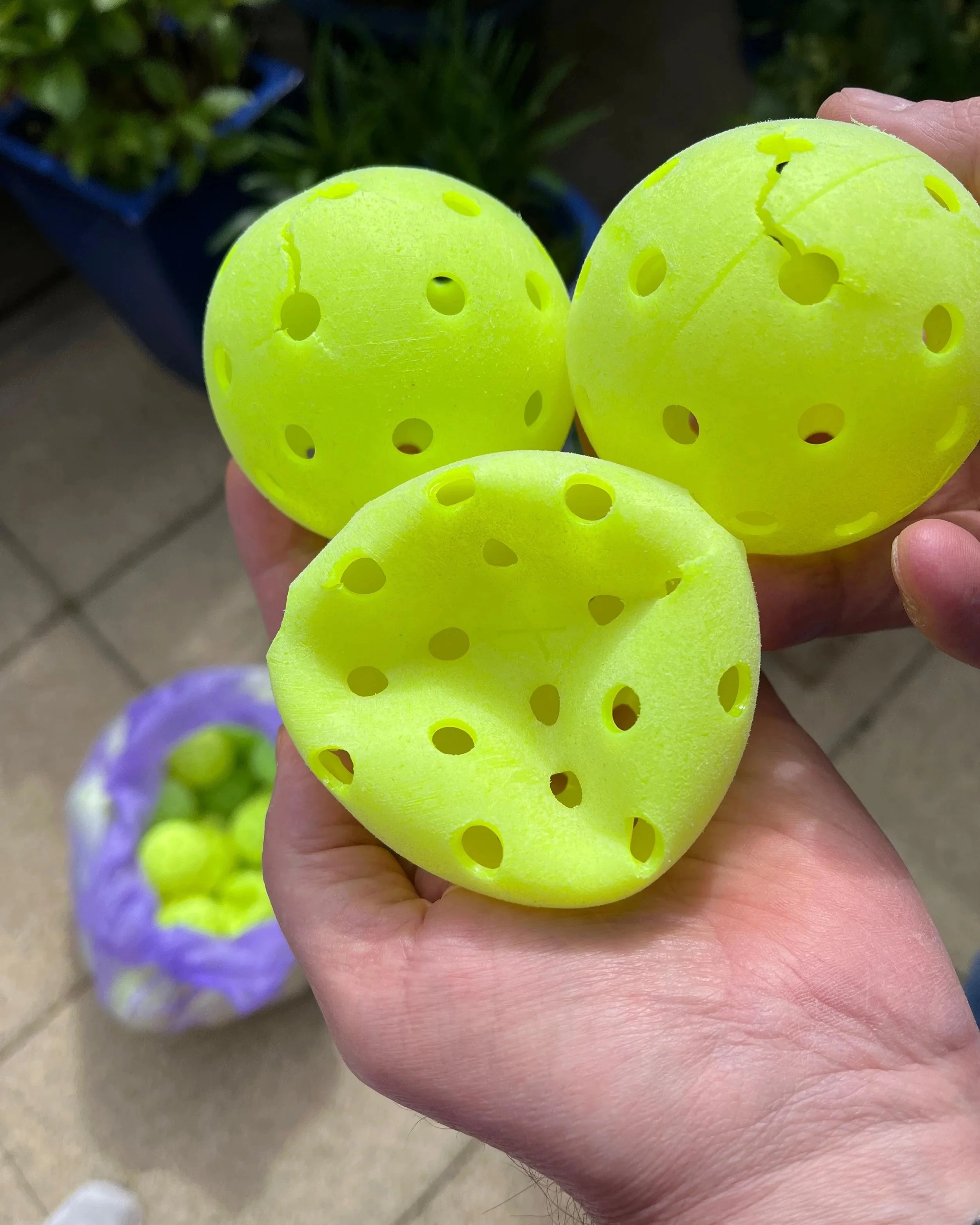 Three bright  yellow pickleballs with multiple holes are held in a person's hand with a purple trash bag of pickleballs in the background.