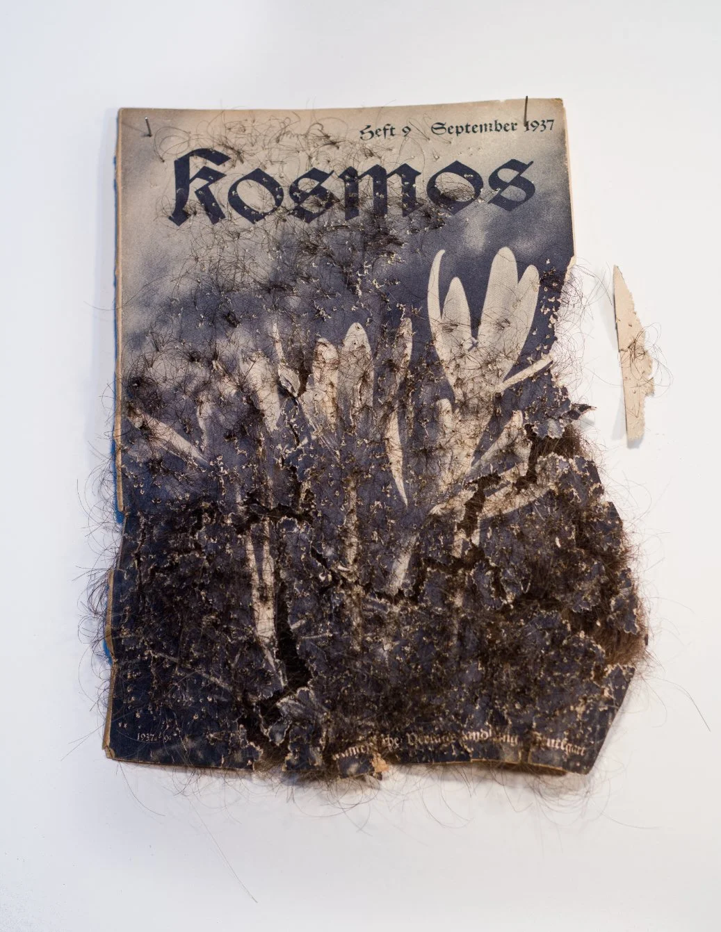 kosmos_6_2010.jpg
