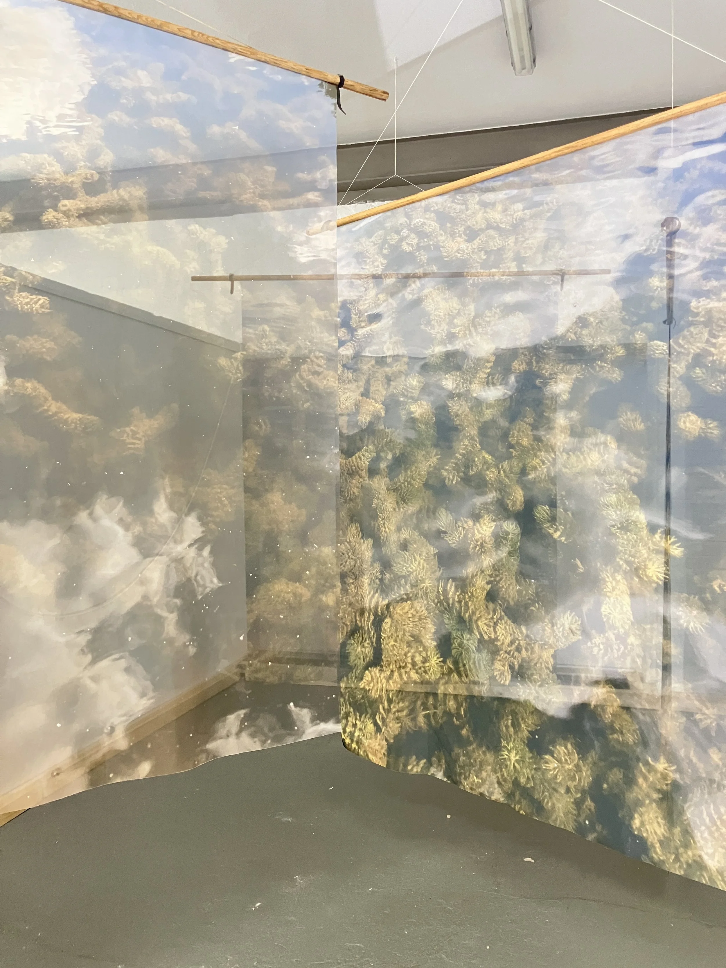underwater in the sky