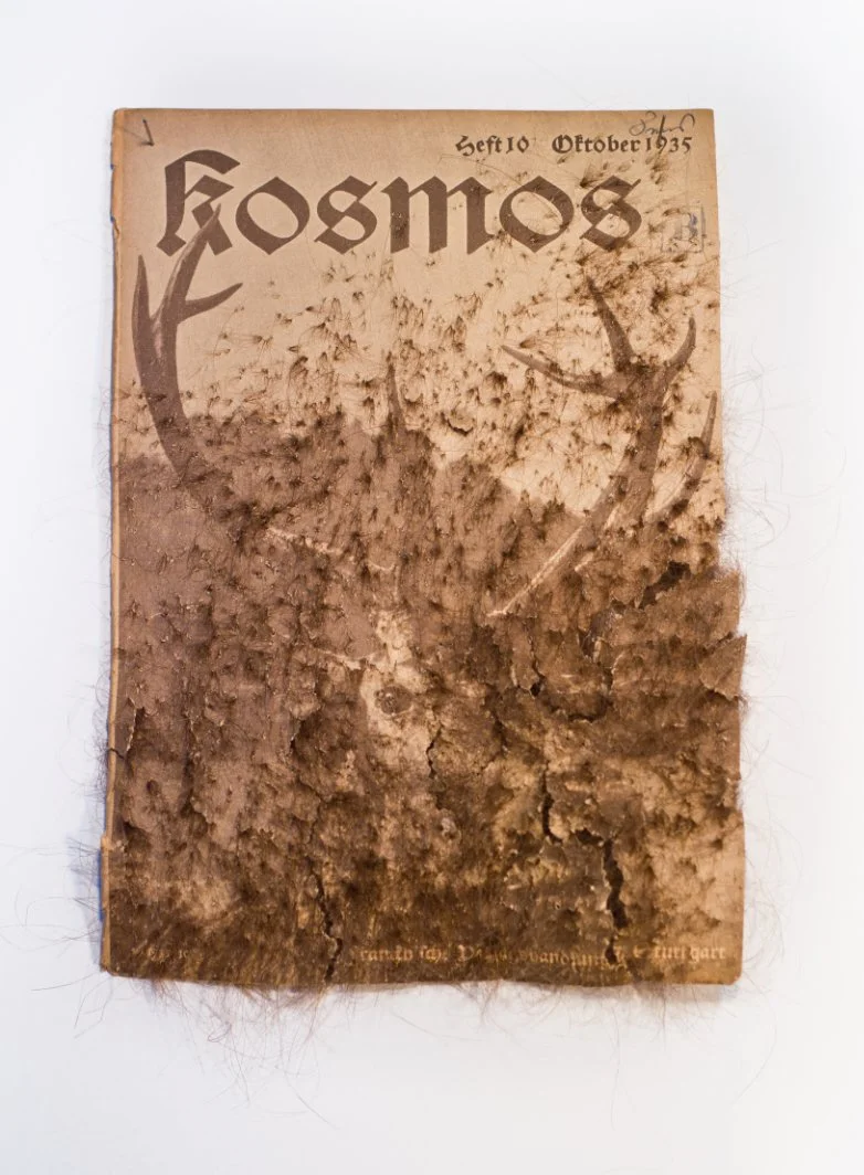 kosmos_4_2010.jpg