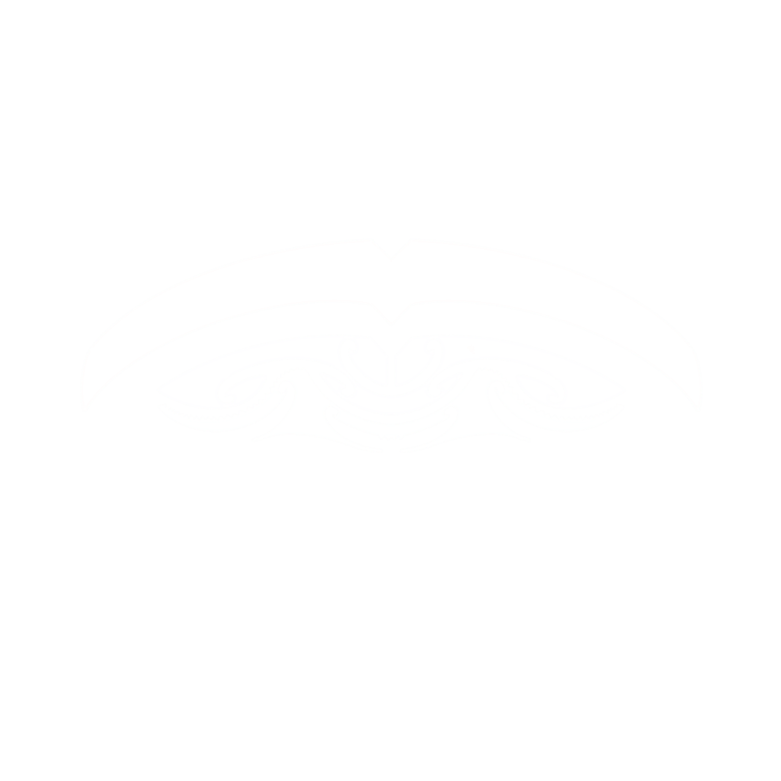 Black background with a white graphic of an open eye and decorative elements underneath, with the text 'TE PUNA HĀ ORA' below.