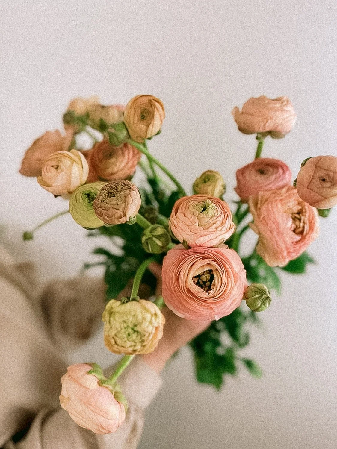 WhatsApp Image 2023-06-08 at 12.16.07.jpg