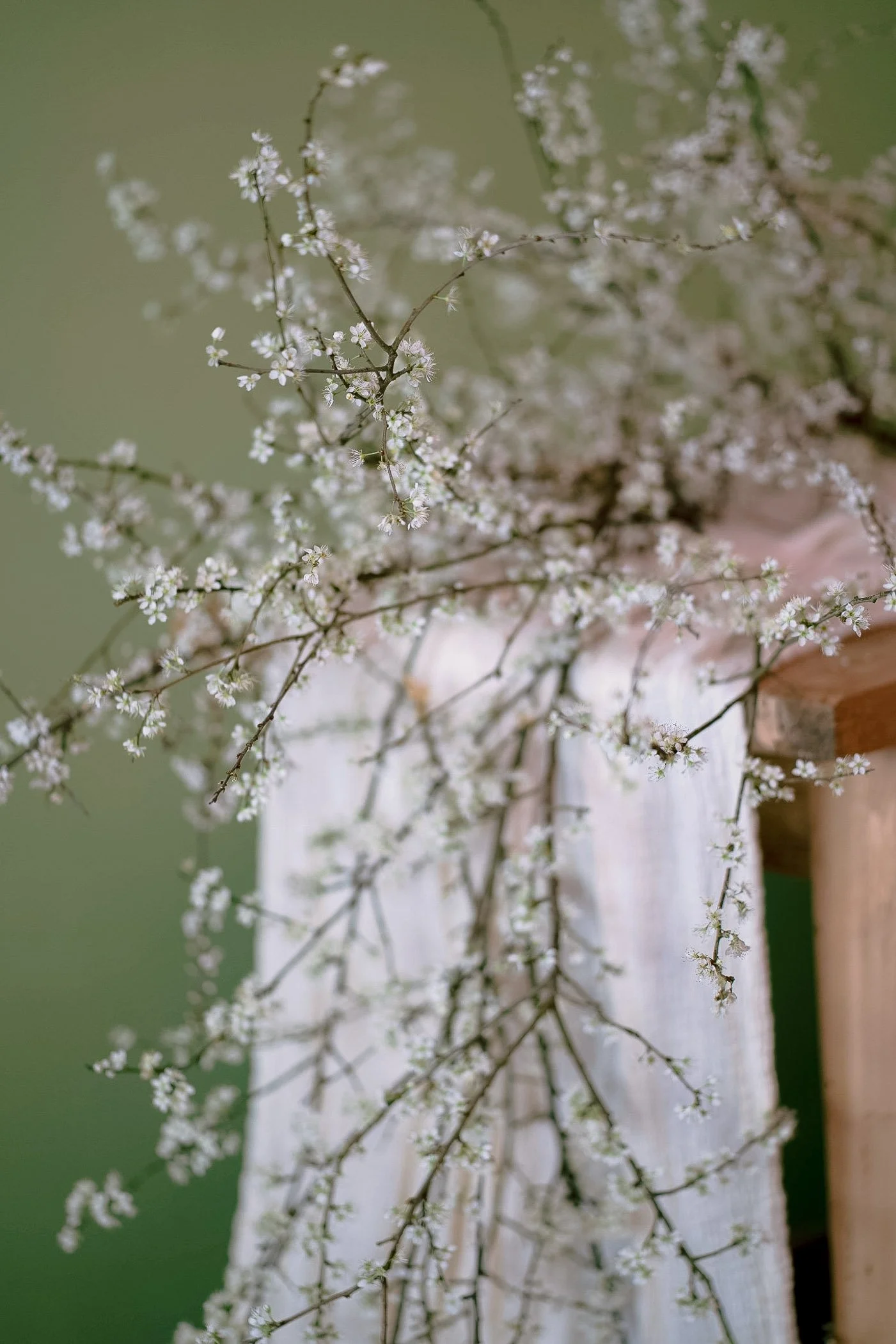 Fiori Etruschi - Delicato.jpg