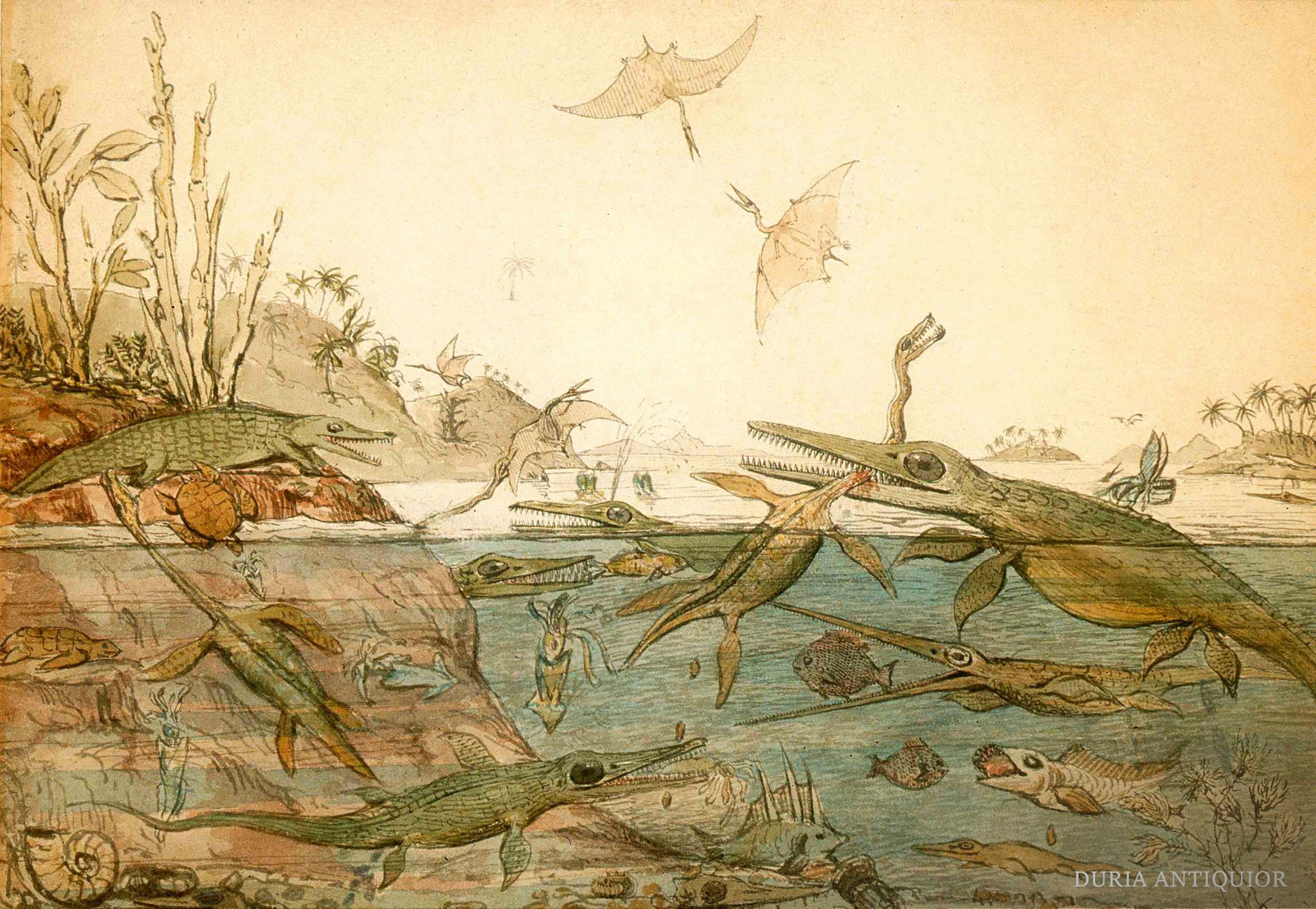 Getting ready for vintage 2026