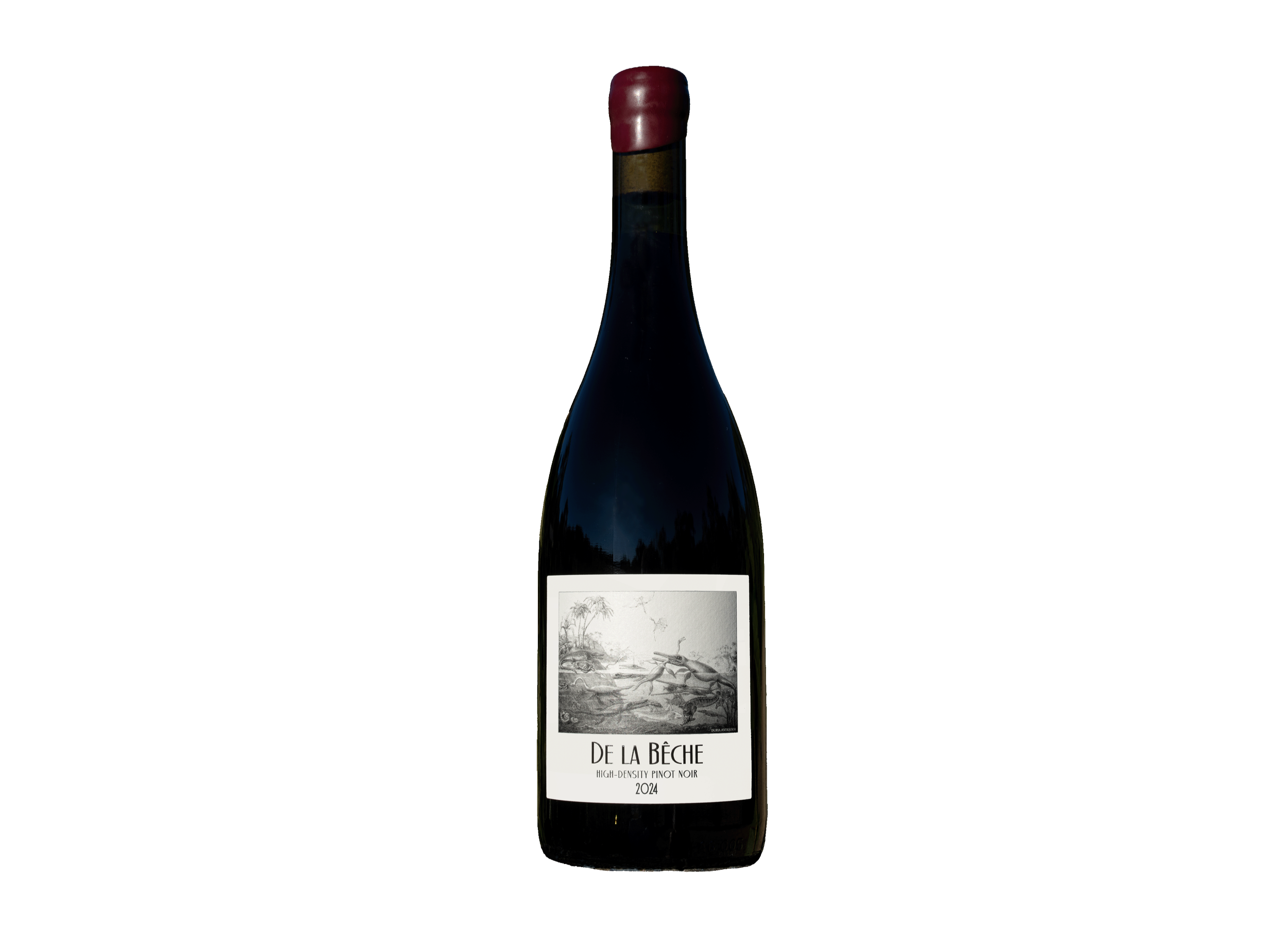 2025 Pinot Noir for release in Spring 2026