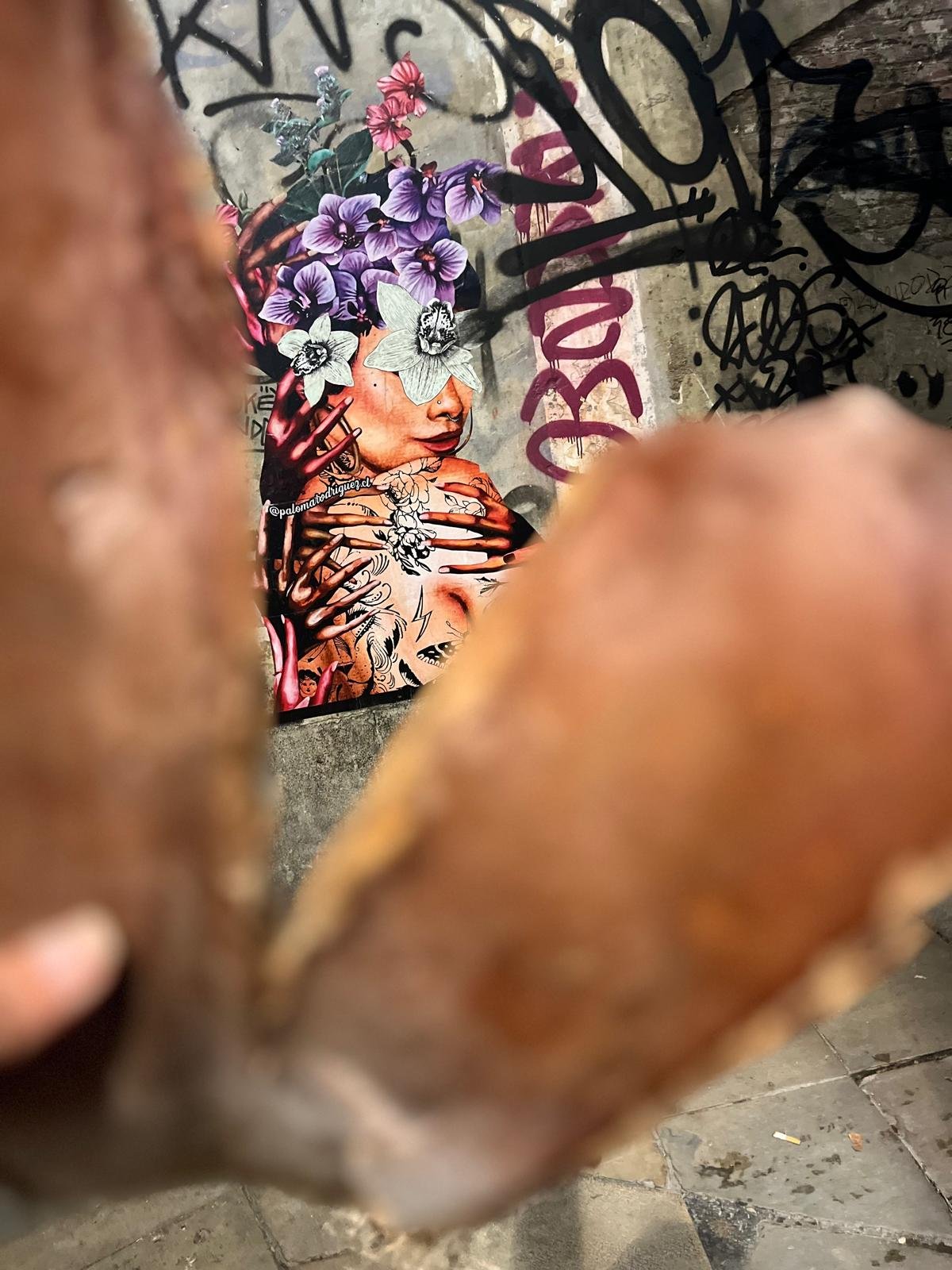 WhatsApp Image 2026-02-09 at 20.43.17.jpeg