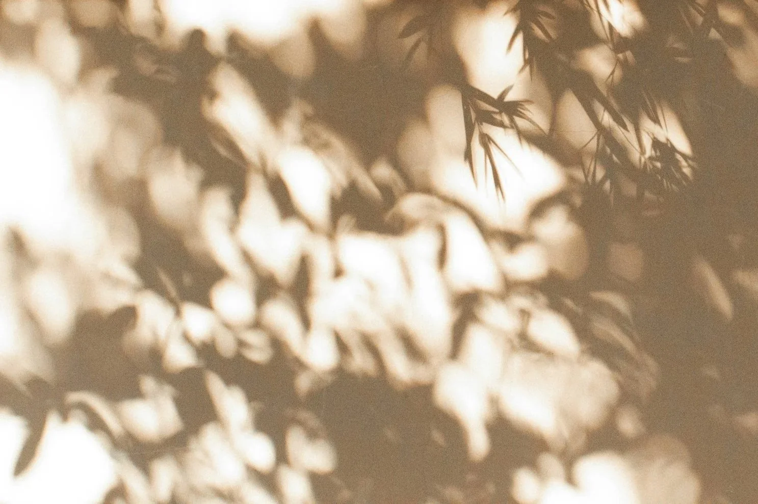 Patronen en dynamieken blootleggen om vrijer te kunnen ademen en leven.