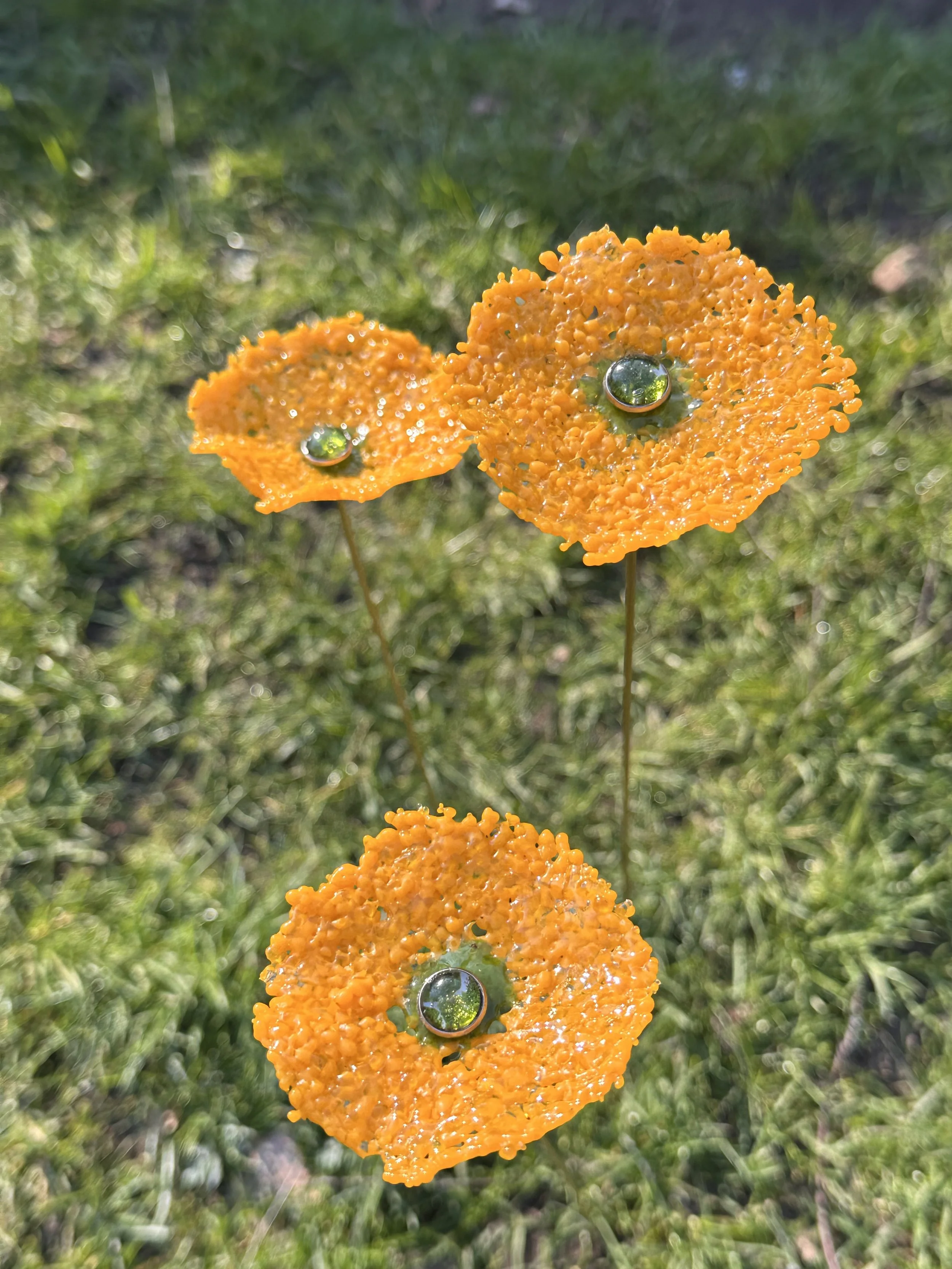 IMG_3060.jpeg