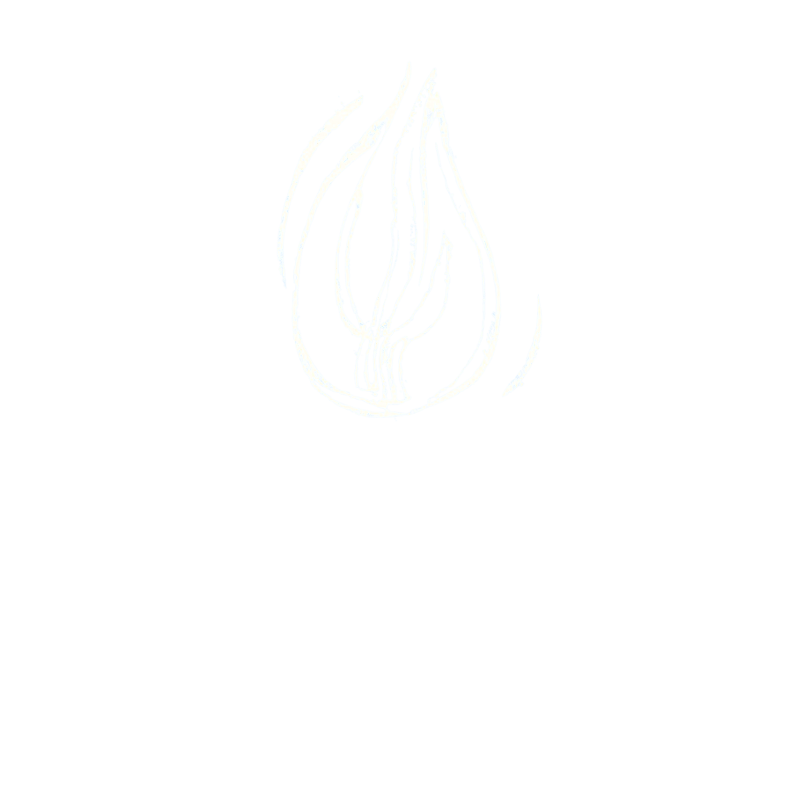 Een zwart achtergrond met een wit schematisch tekening van een vlam en de tekst 'Fan Fjoer' eronder.