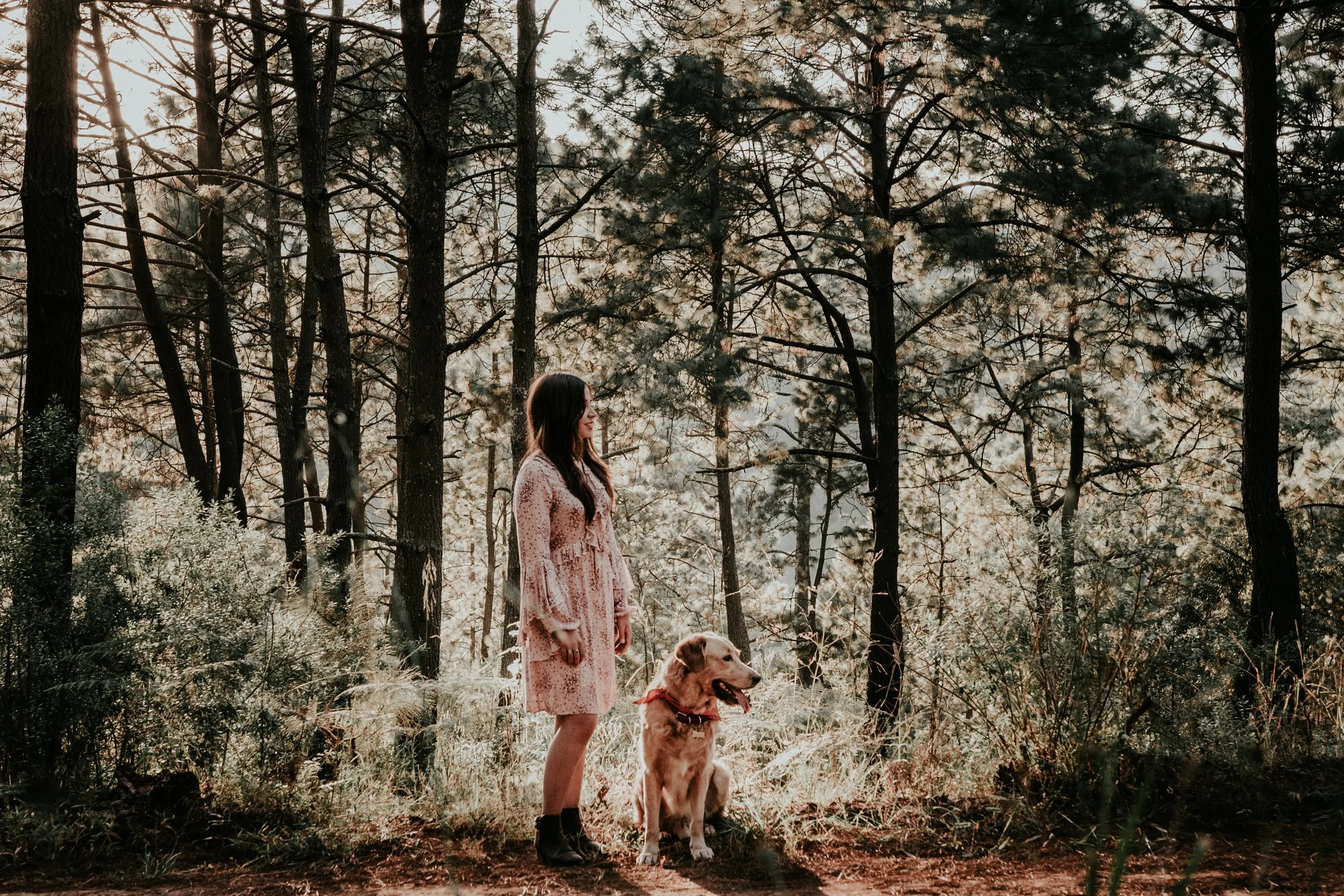 woman and a happy dog walking in woodland