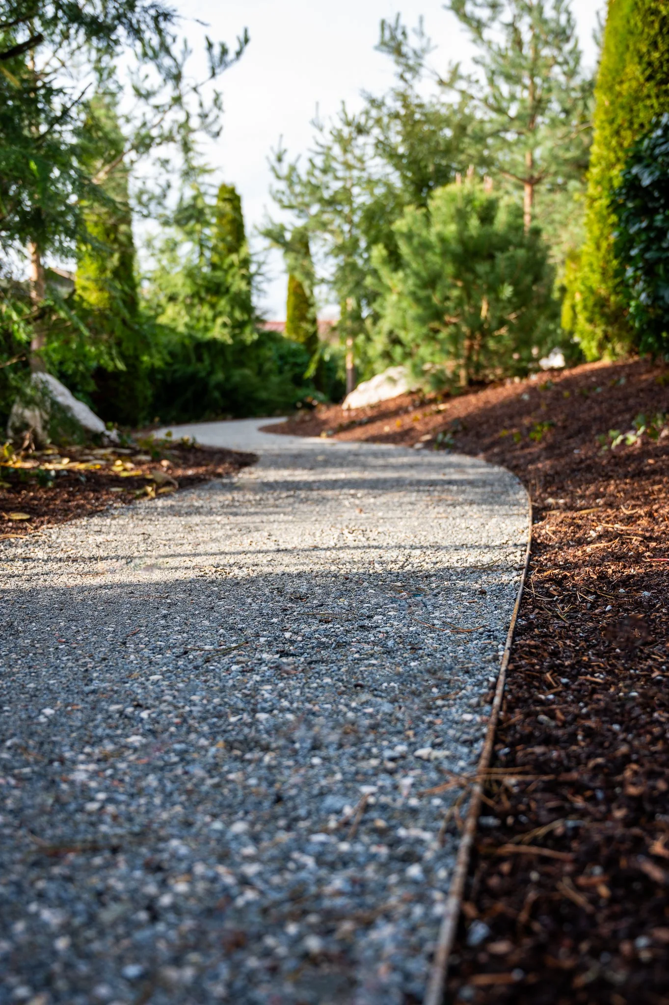 Ein gewundener Gartenweg aus Kies, umgeben von Büschen und Bäumen.