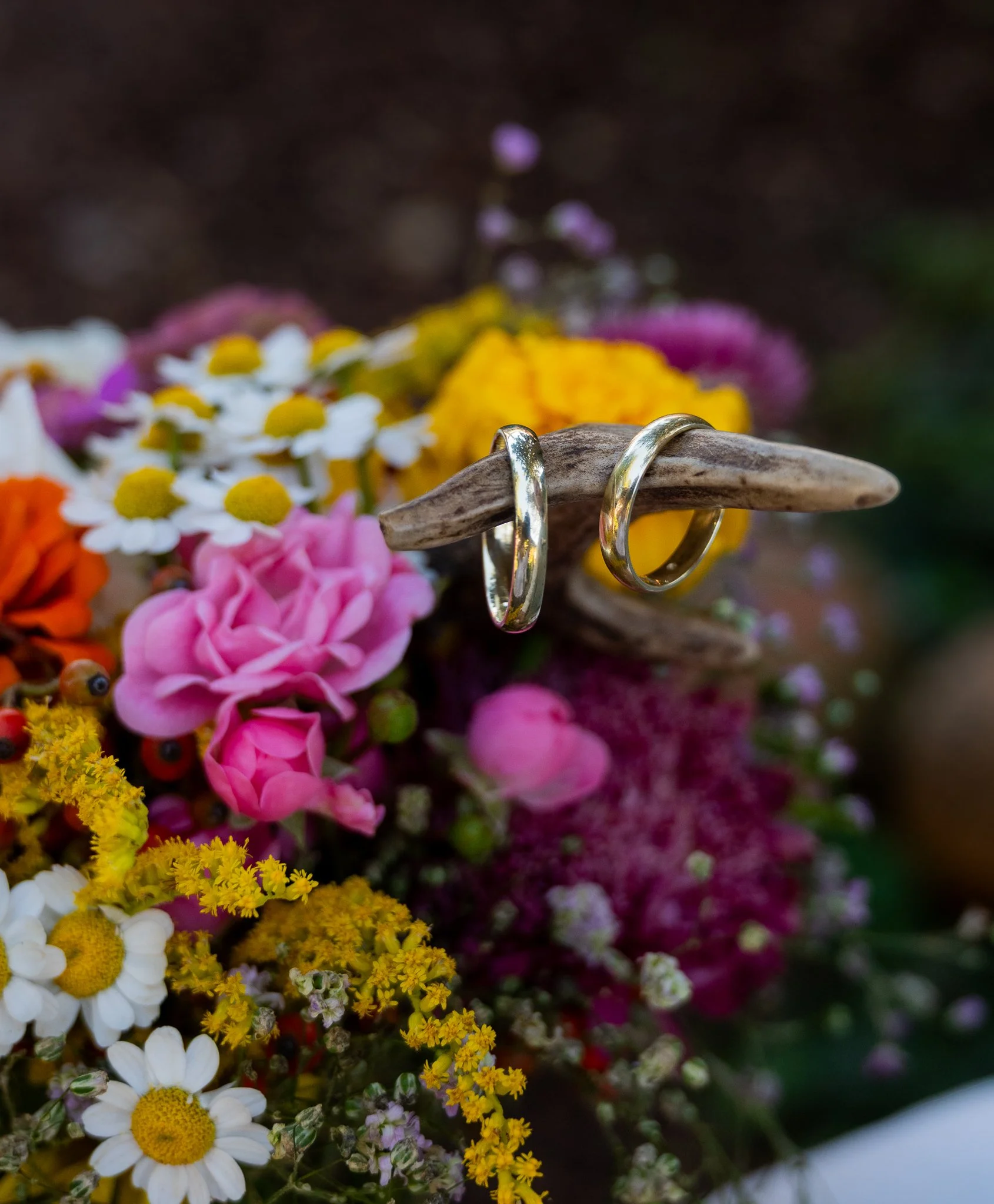 Zwei silberne Hochzeitsringe auf einem Holzstück vor bunten Blumen