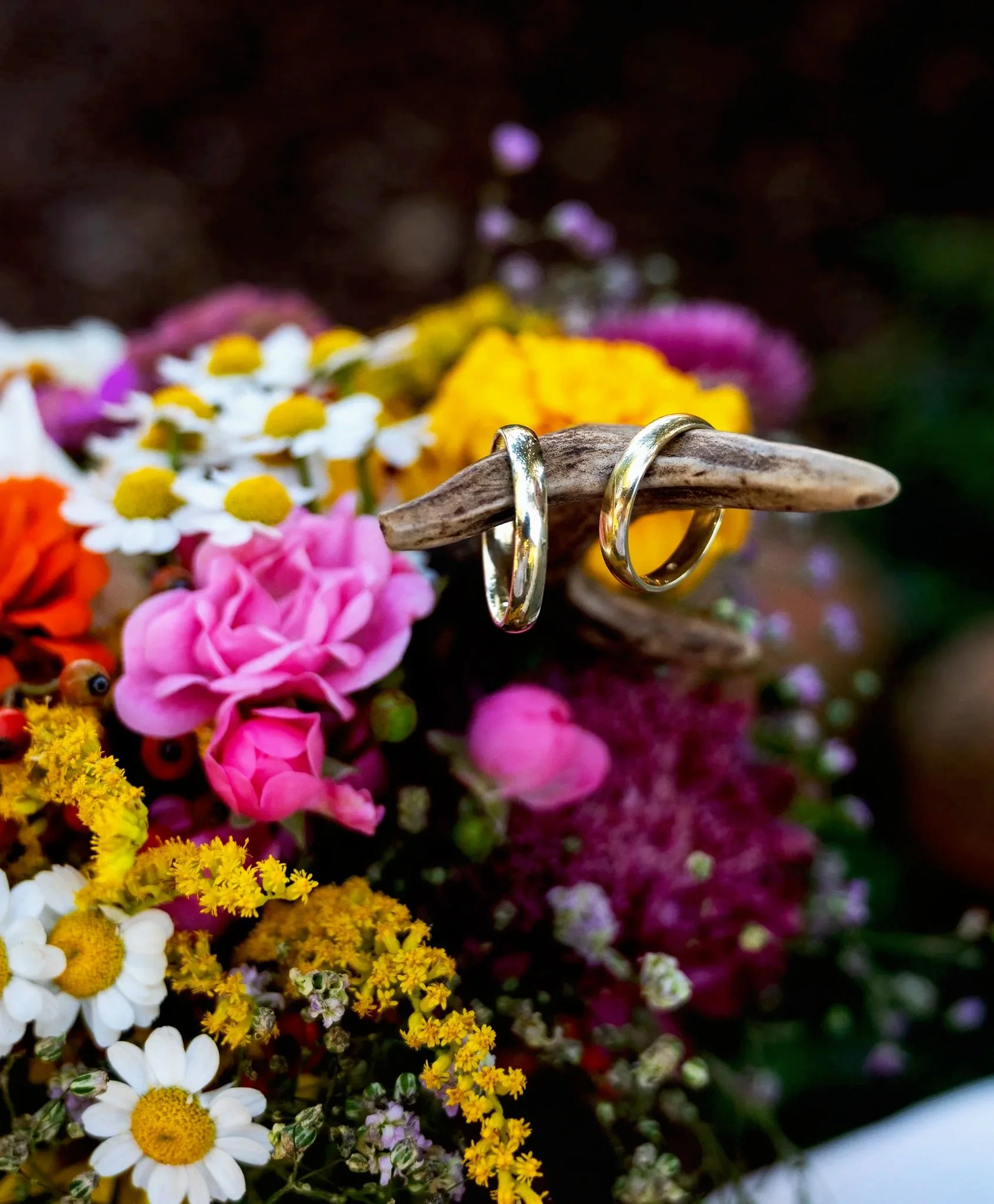 Zwei silberne Eheringe liegen auf einem kleinen Holzstück, umgeben von bunten Blumen wie Gänseblümchen, Rosen und anderen farbigen Blüten.