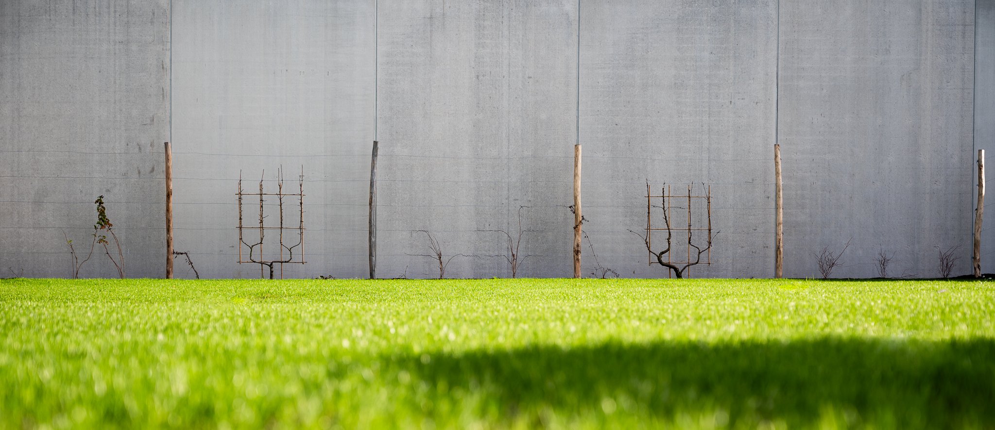 Grünes Gras vor einer grauen Betonwand mit einigen kleinen Bäumen und Holzpfählen