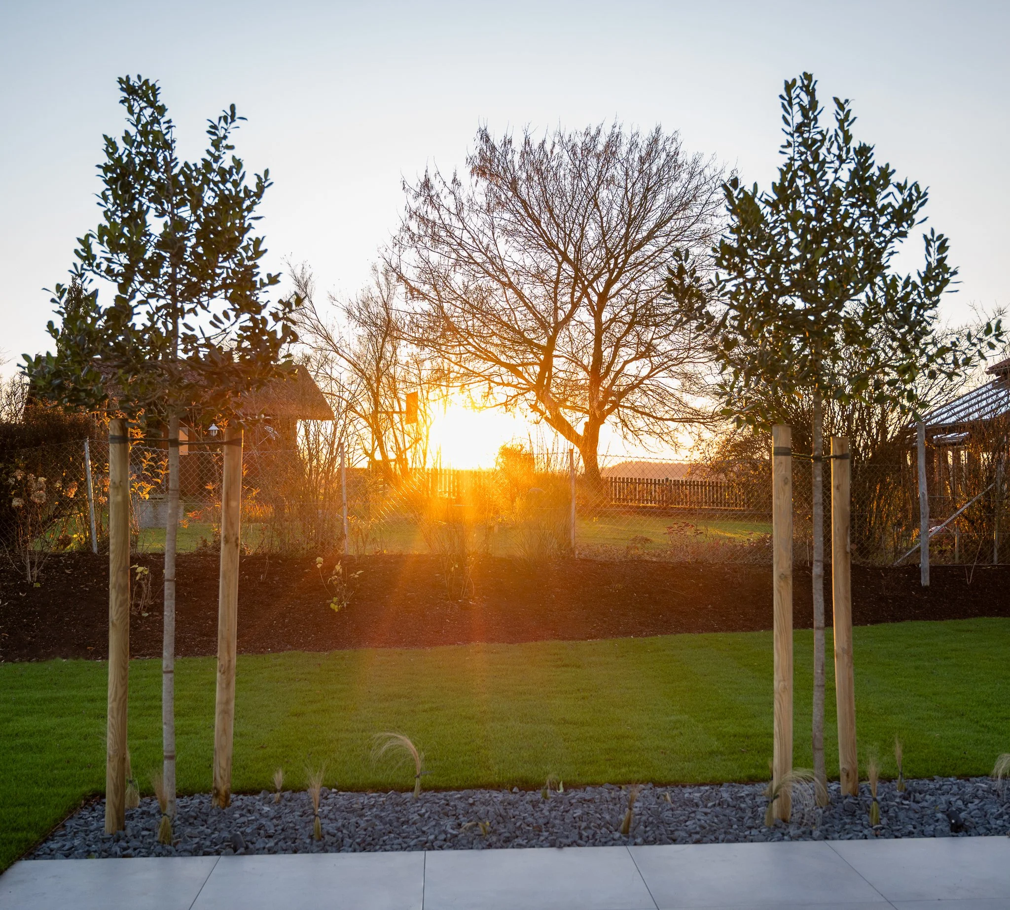 Garten mit drei Baumstämmen, Rasenfläche, Sonnenuntergang im Hintergrund, Bäume, Zäune und eine Hütte.