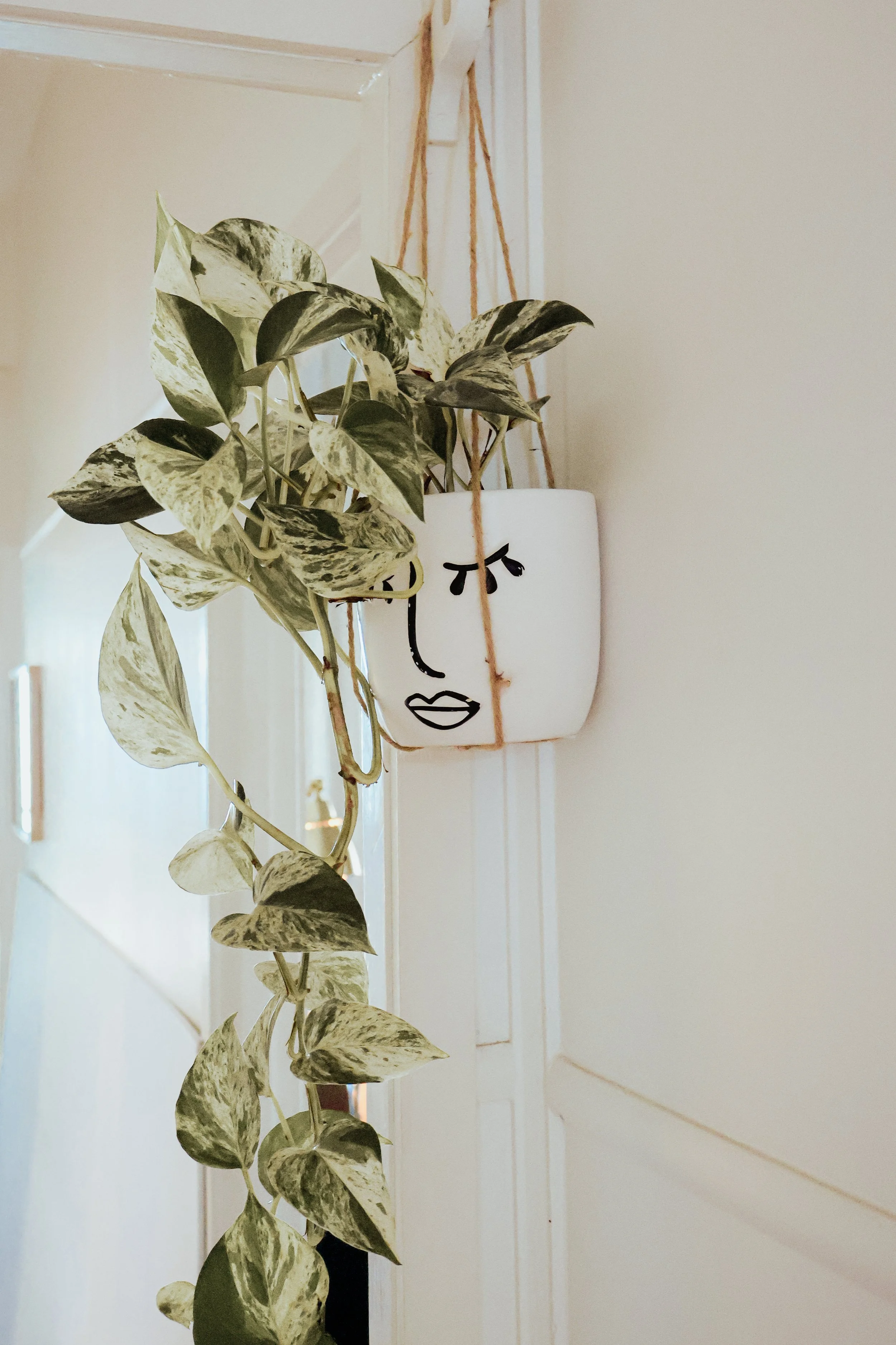 Decorative white wall planter with a face illustration, containing a trailing green and white variegated plant hanging on a wall.