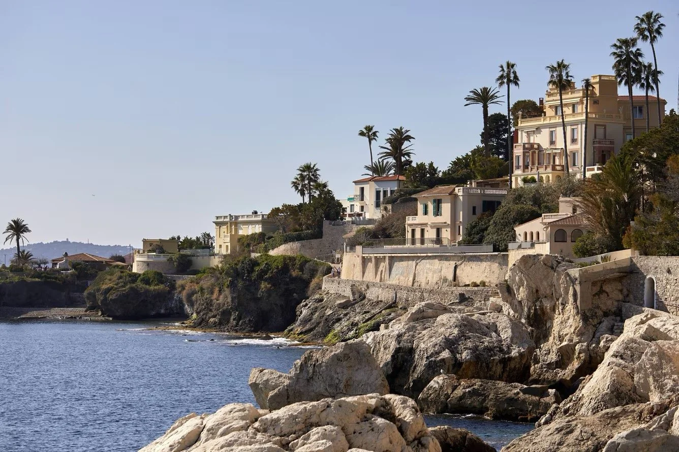 Luxury seaside homes with palm trees along a rocky coastline under a clear blue sky.