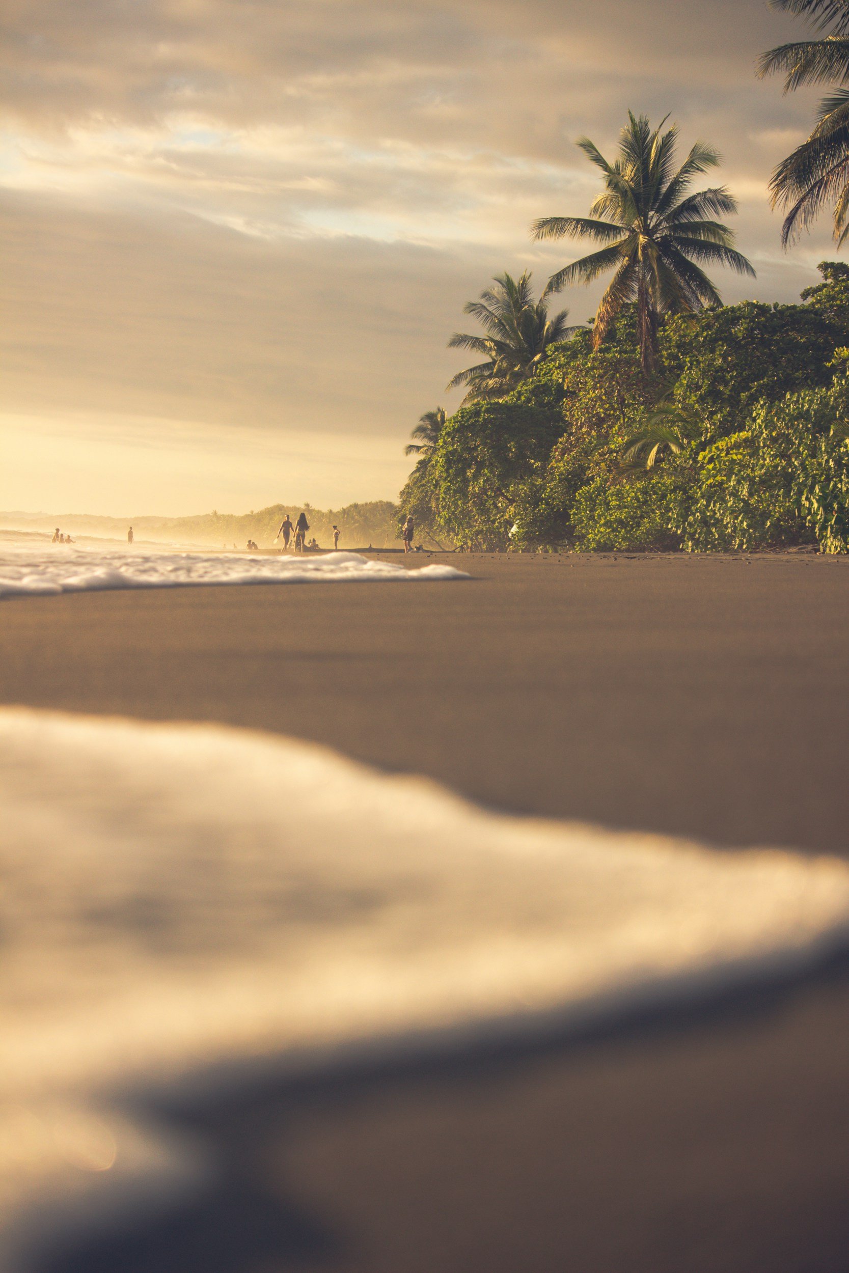 A tropical beach during sunset with palm trees, people walking along the shoreline, and waves gently crashing onto the sand.