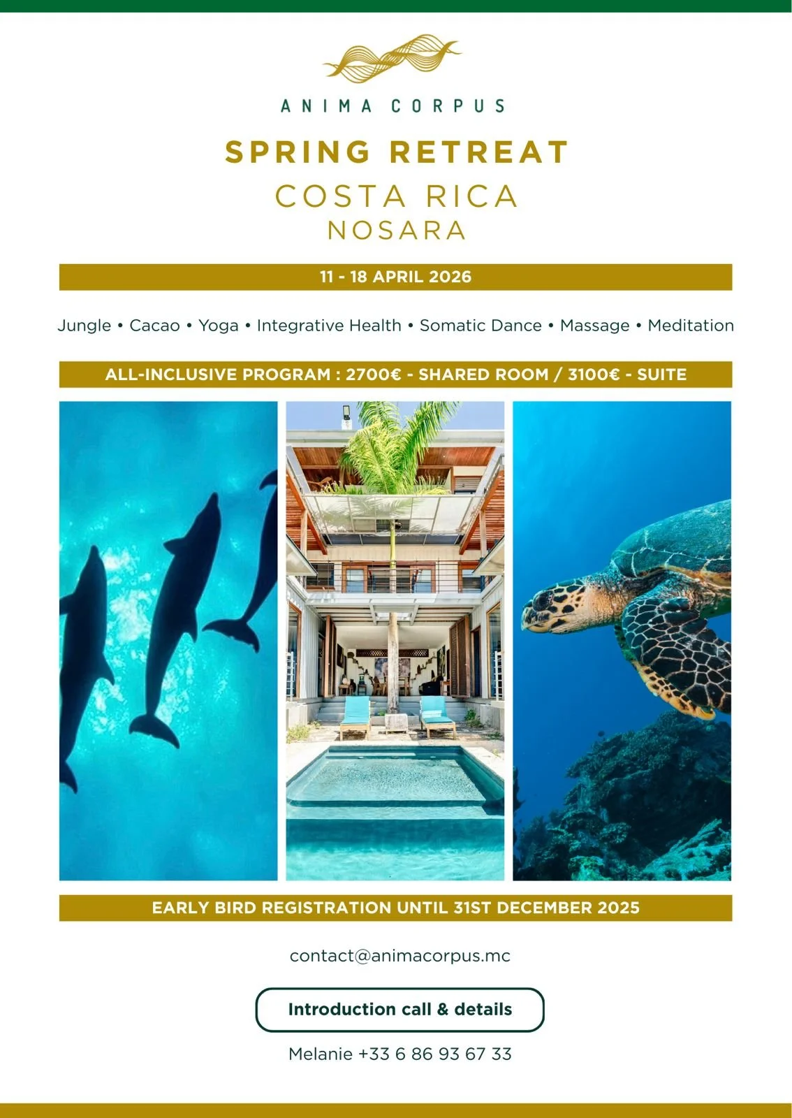 Flyer for a spring retreat in Costa Rica, Nosara, from April 11-18, 2026. Features images of dolphins underwater, a tropical hotel with a pool, and a sea turtle underwater.