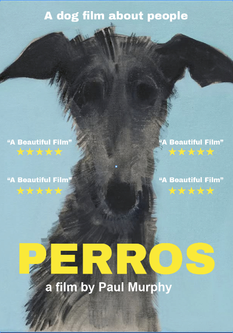 Poster for the film 'Perros' featuring a portrait of a dog against a light blue background, with the text 'A dog film about people' at the top and quotes praising the film as 'A Beautiful Film' with five stars. The title 'PERROS' is in large yellow letters at the bottom, with 'a film by Paul Murphy' below it.