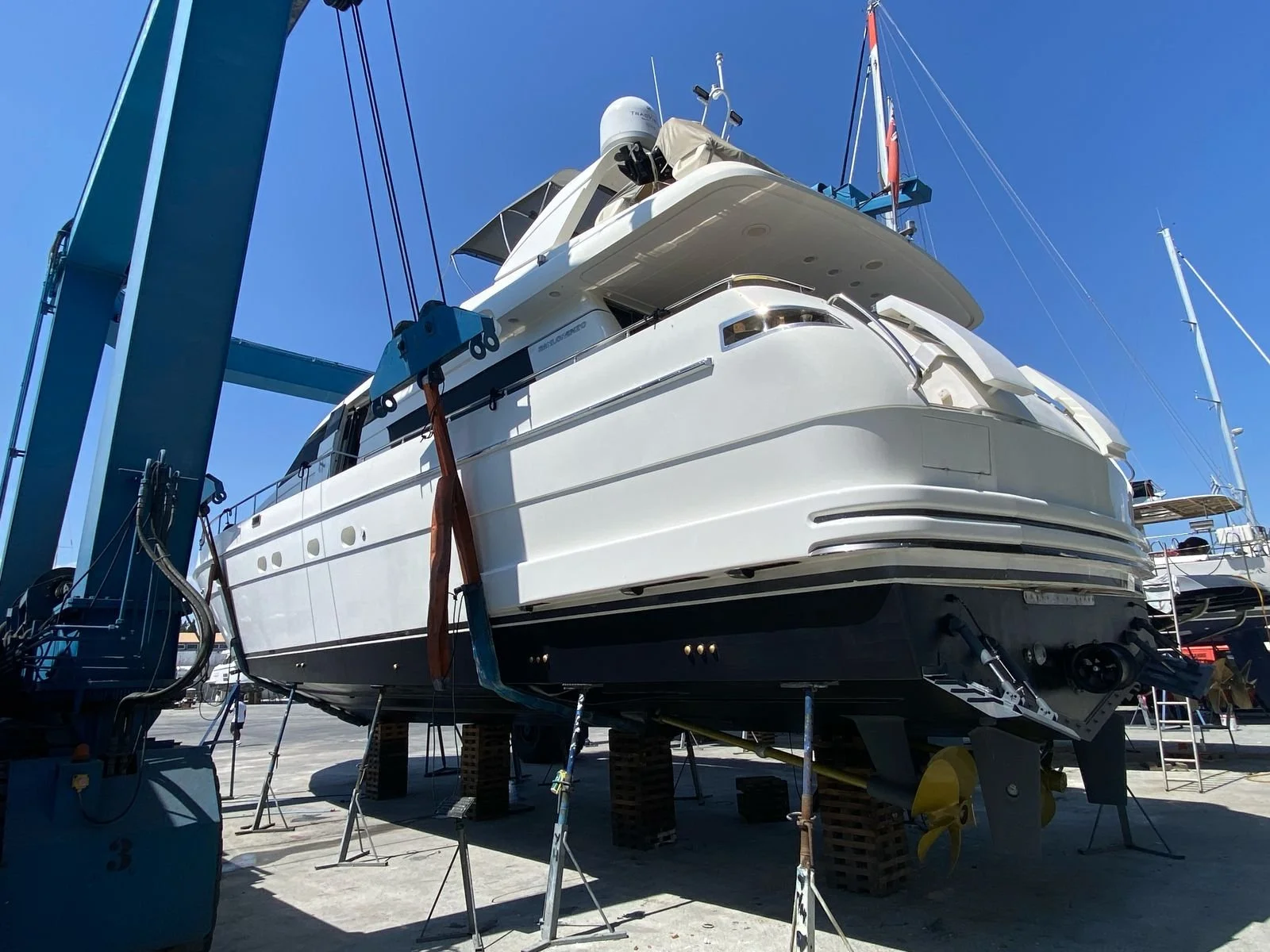 WhatsApp Image 2026-02-17 at 11.12.42 (7).jpeg