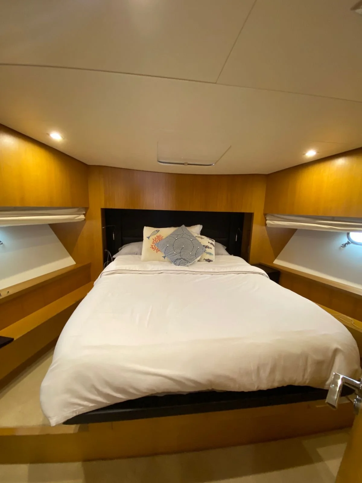 WhatsApp Image 2026-02-17 at 11.12.42 (1).jpeg