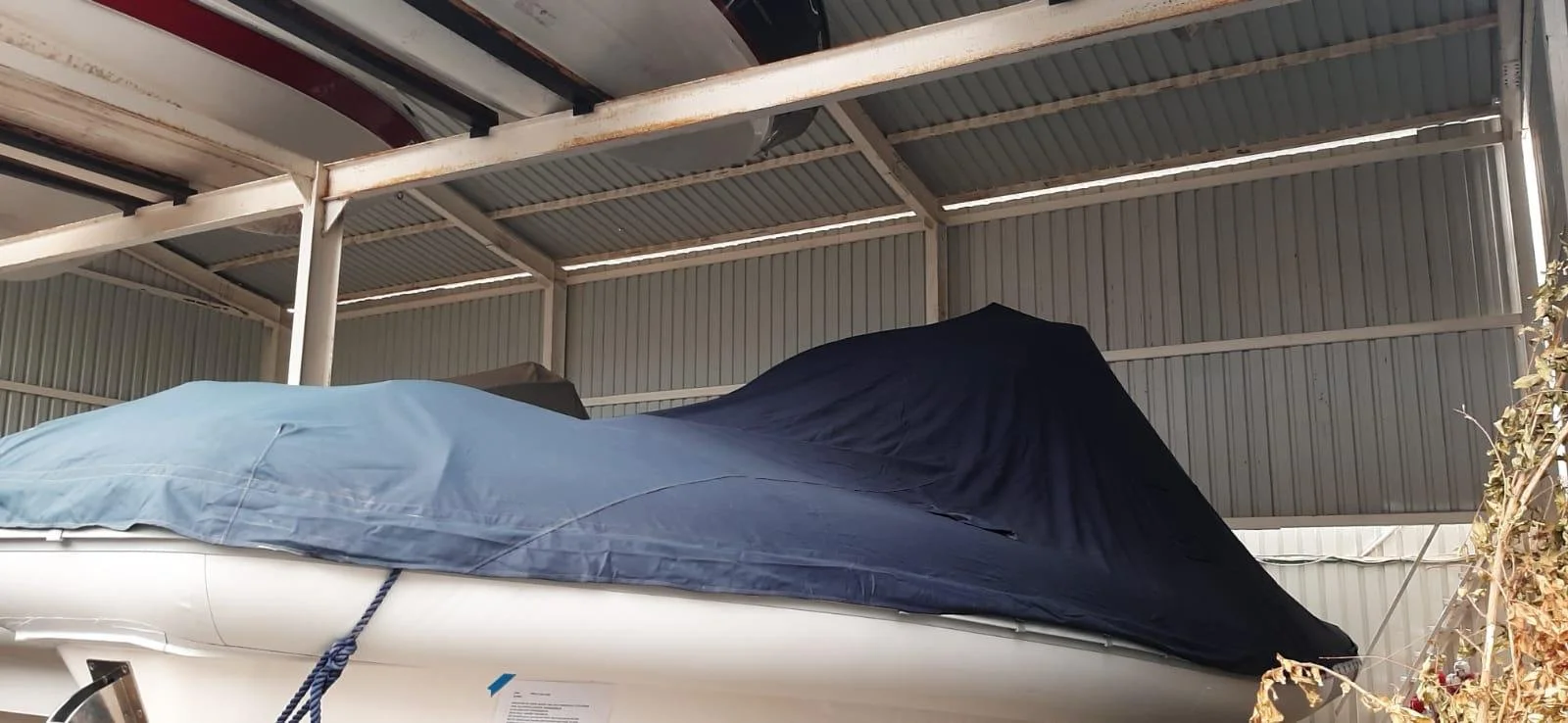 Pirelli Pzero 100_Selected (6).jpeg