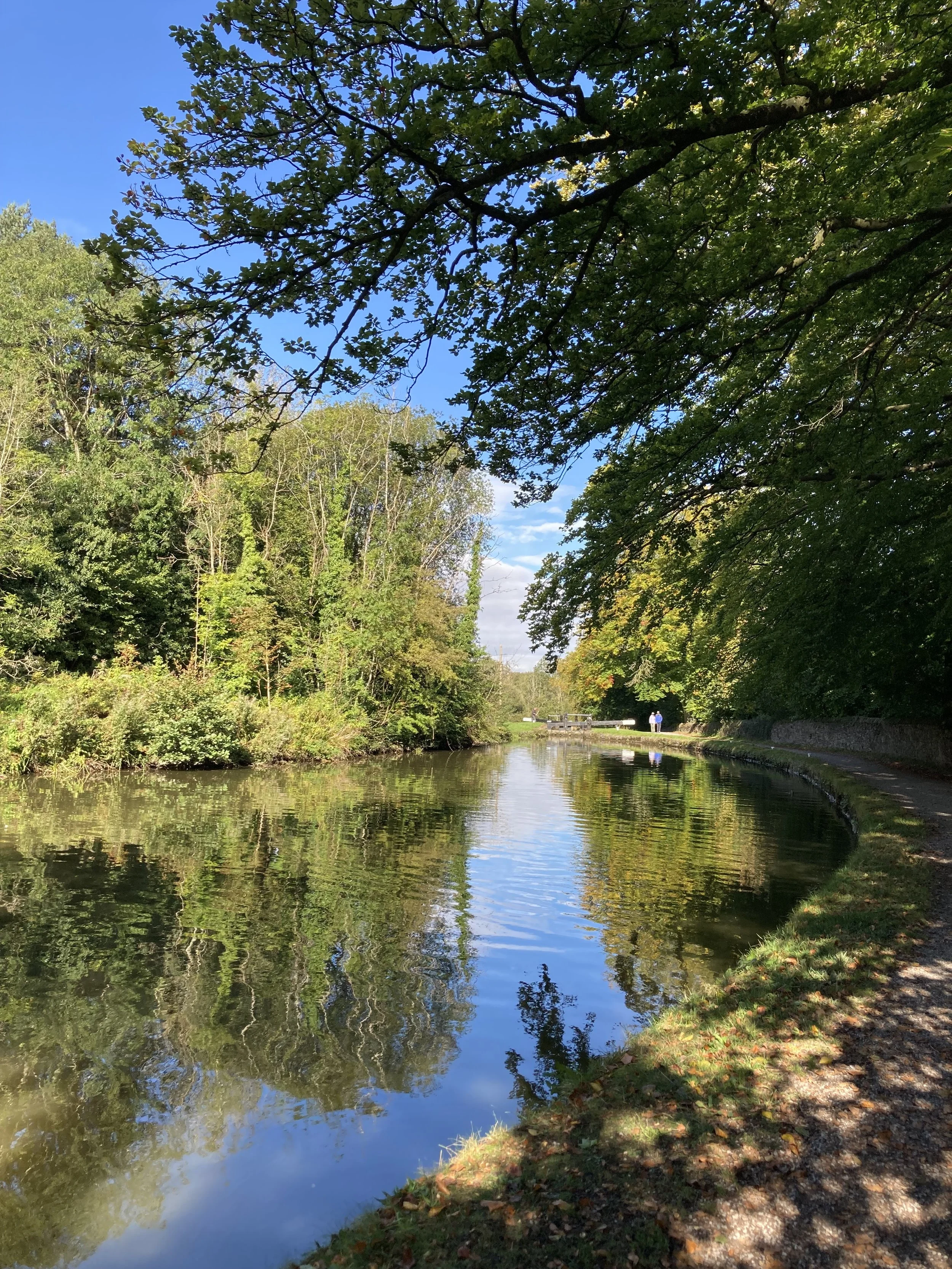 Marple Locks in the summer photo credit: Maxine Riley