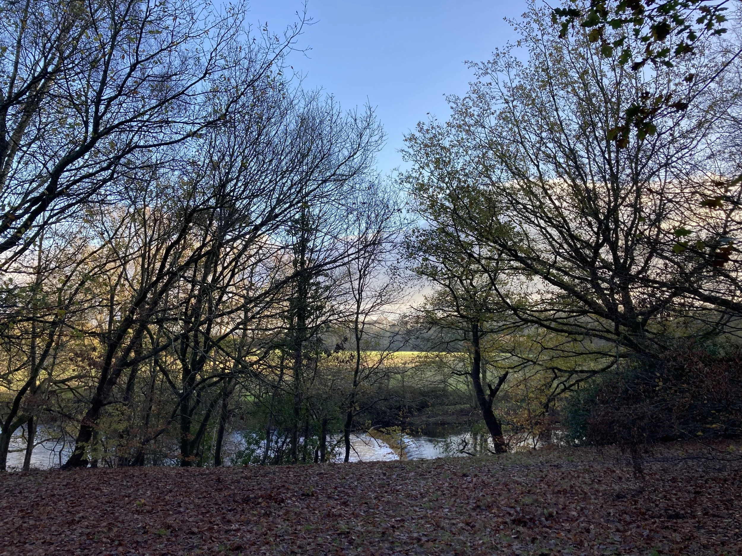 5 Perfect New Year Walks around Stockport