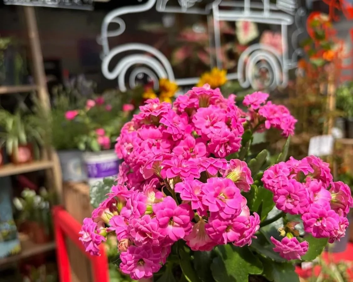 Independent Florists around Stockport