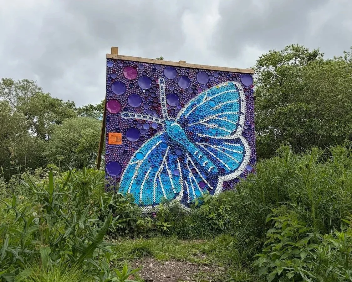 Butterfly Mural by Plastic Shed
