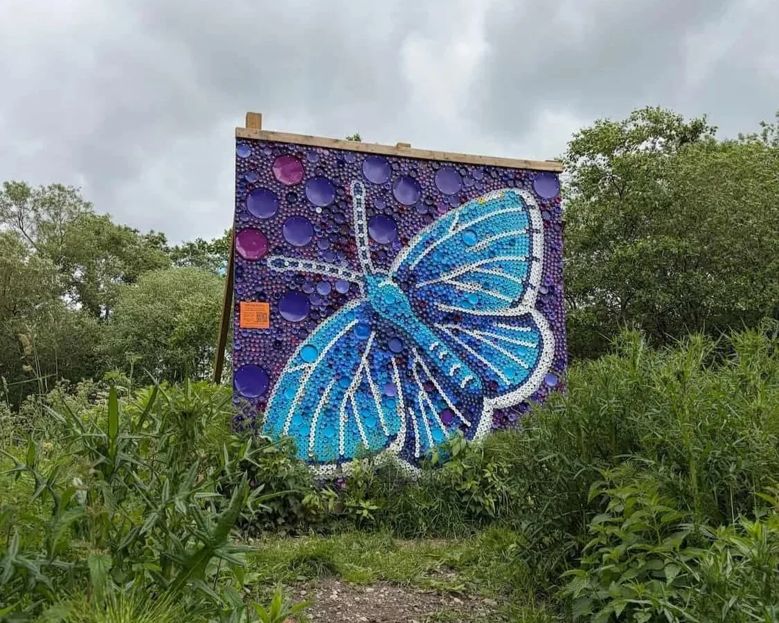 Butterfly mural made of plastoc bottle tops created by Plastic Shed