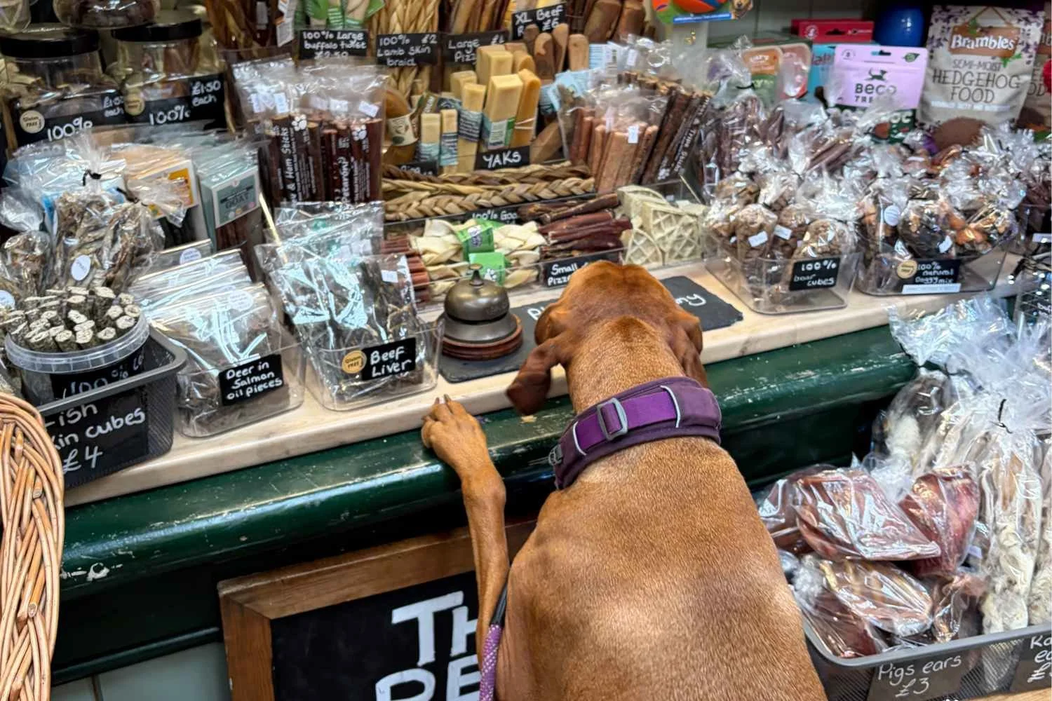 Dog shopping at The Pet Grocer, Stockport