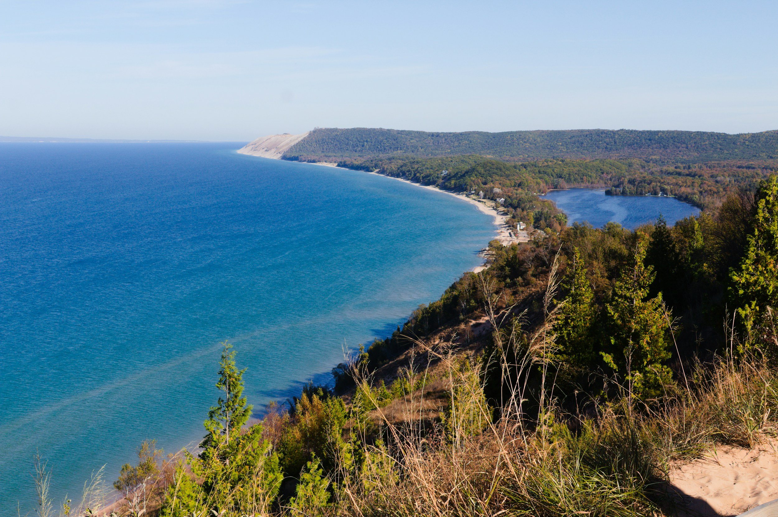 A scenic view of a large body of water with a hill covered in trees in the background, and a beach along the shoreline with some trees and plants in the foreground.