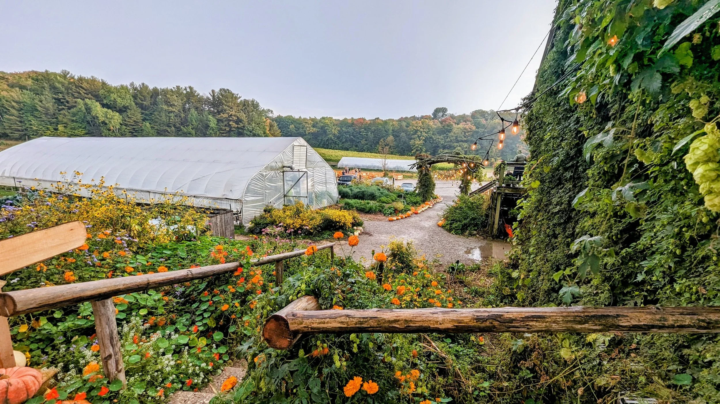 Pond Hill Farm Spring foliage