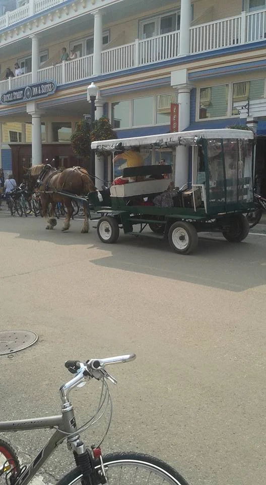 horse and carriage carrying luggage