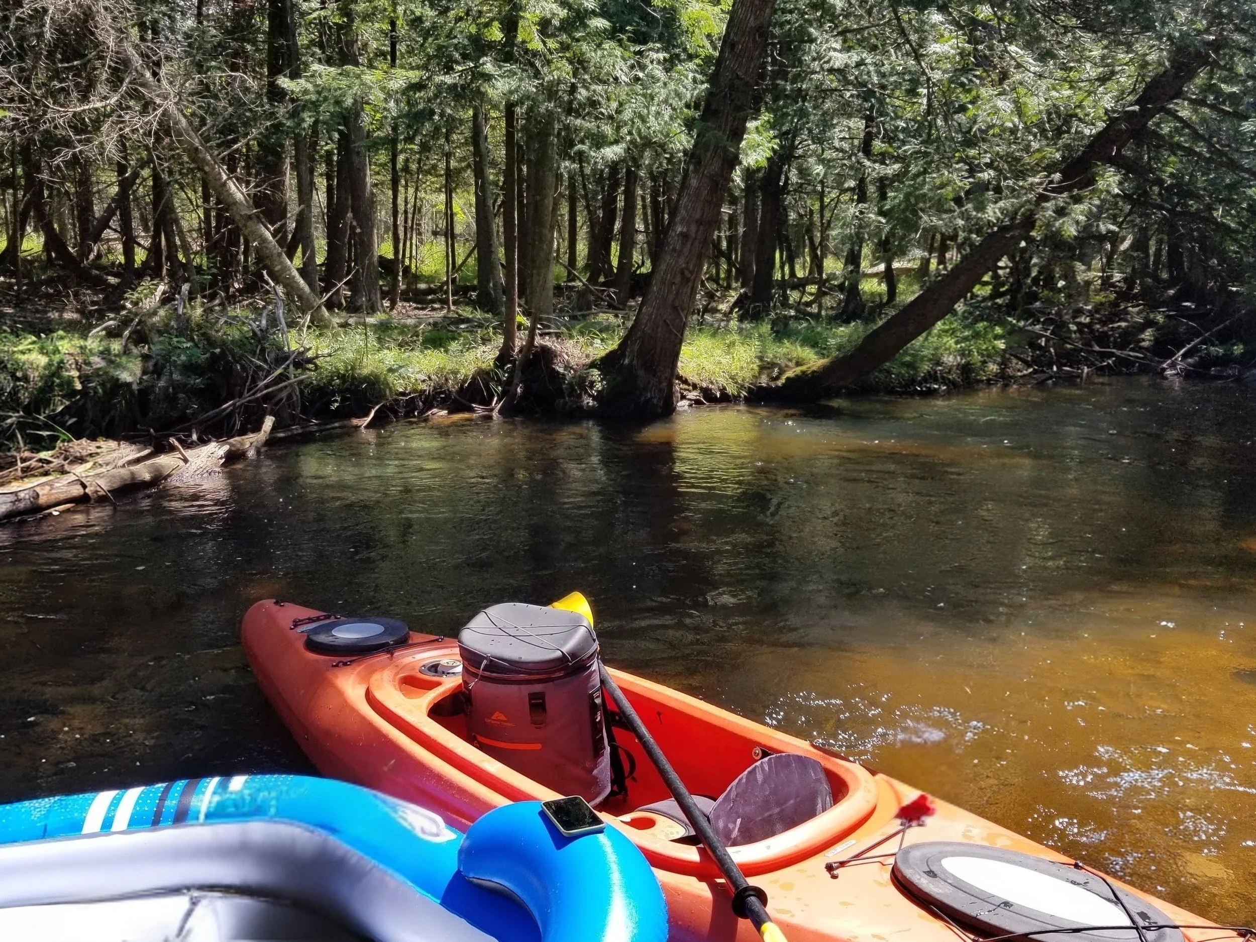 The view from your kayak on the stunning Boyne River —  one of Northern Michigan's most scenic and relaxing  flatwater paddles winding through a gorgeous  canopy of ancient trees. This is what a perfect summer day up north looks like!