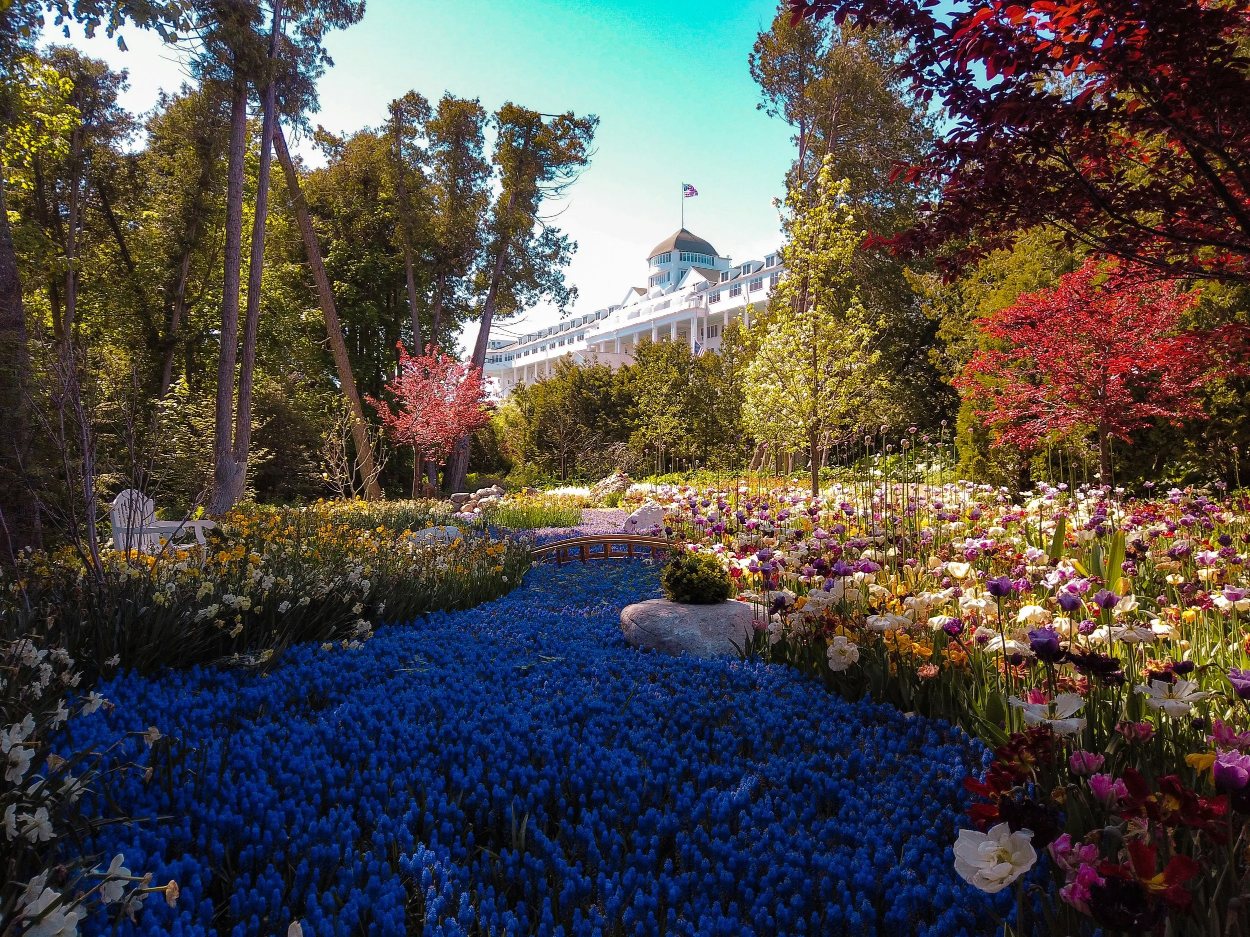 Aaron Burden beautiful spring flowers