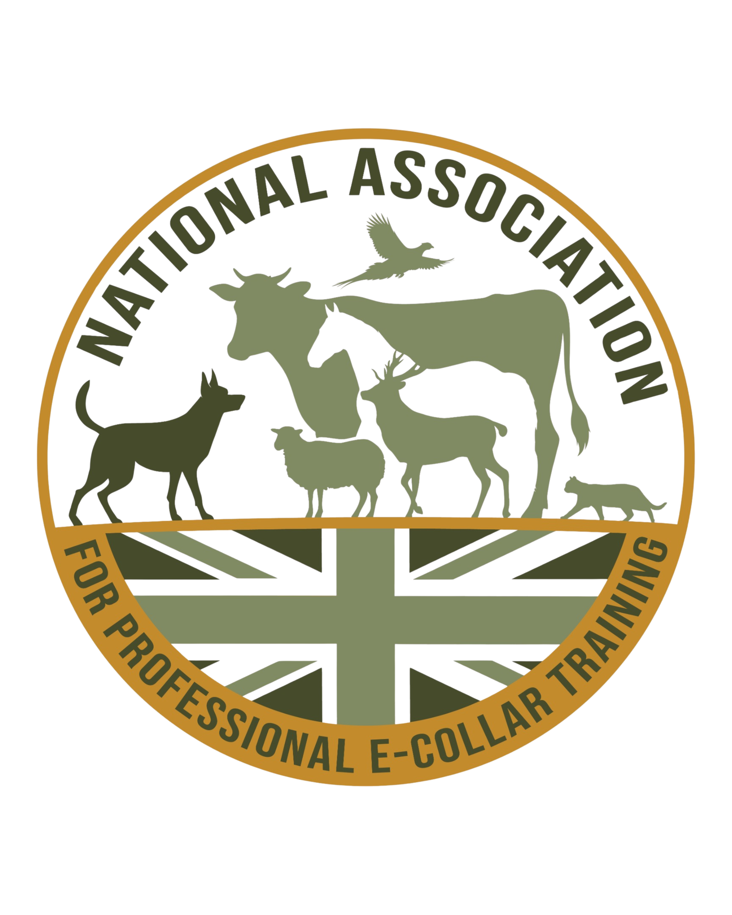 NAPET- National Association for Professional E-collar Training