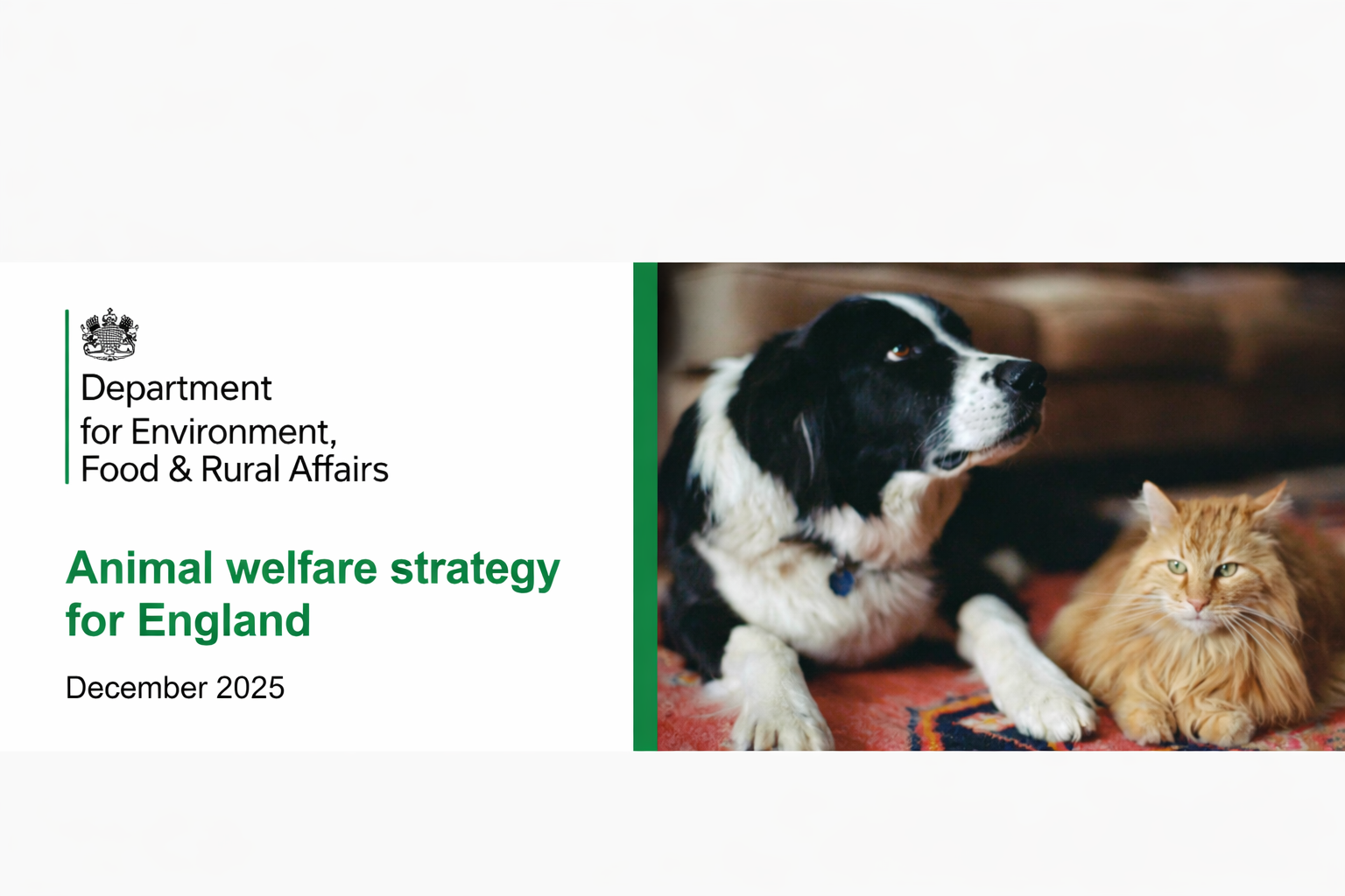 Useful Contacts: E-Collar / Electric Shock Collar Policy Engagement in England